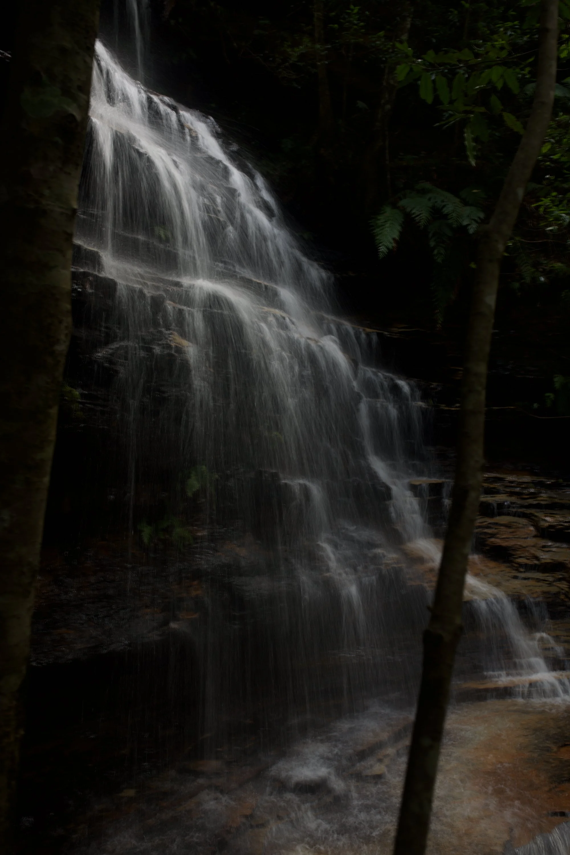 DSC_2655.jpeg