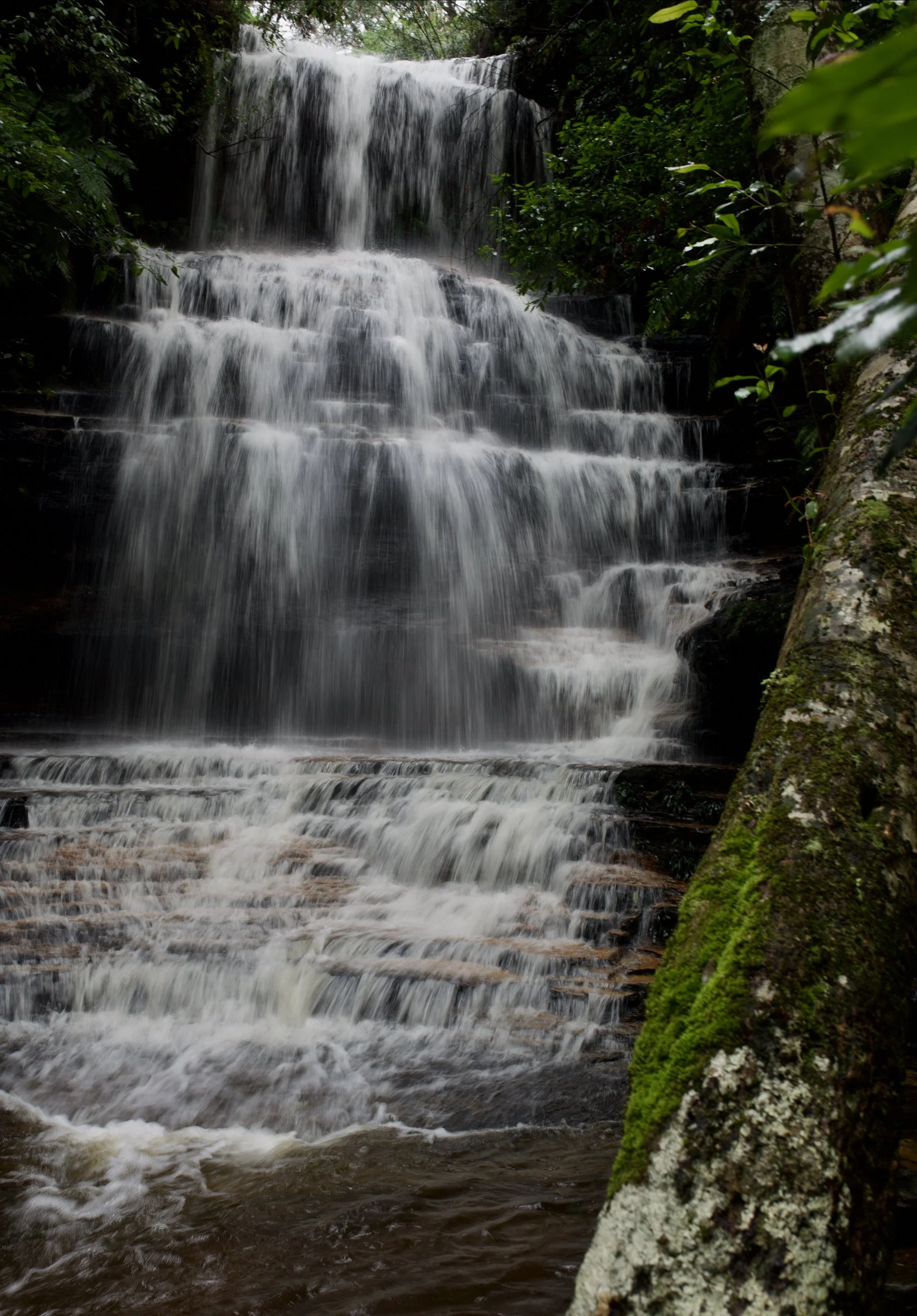 DSC_1928.jpeg