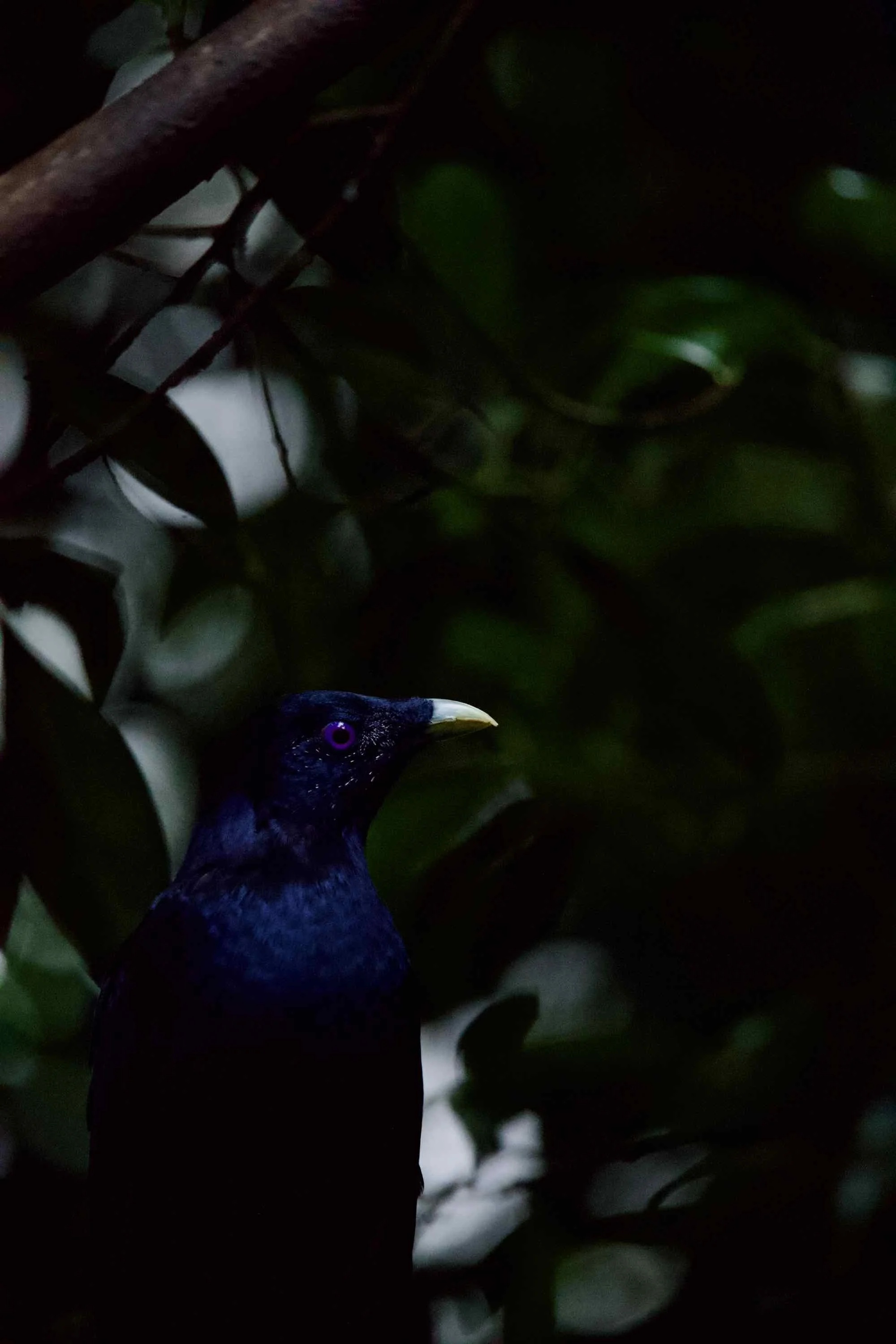 DSC_4549.jpeg
