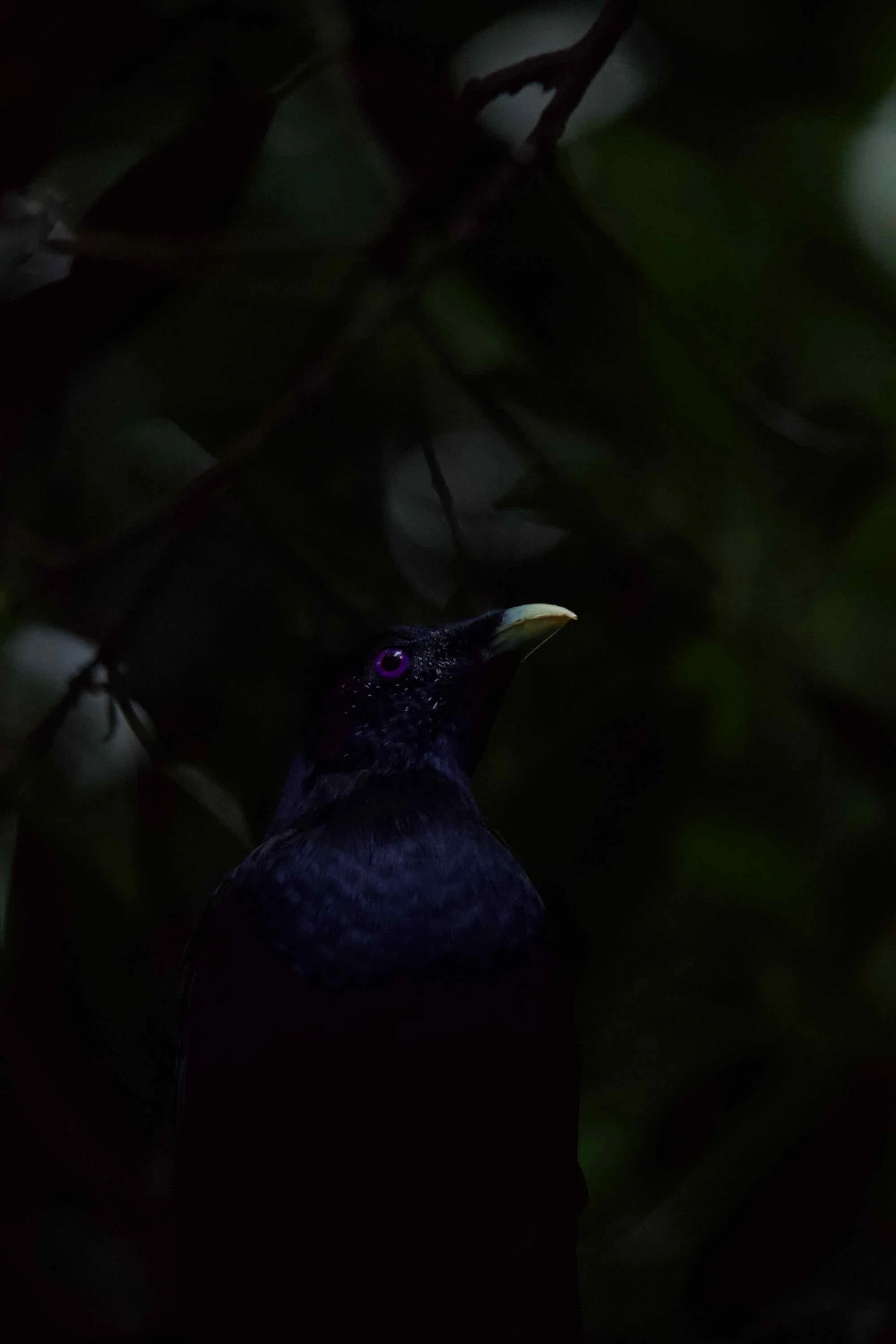 DSC_4568.jpeg