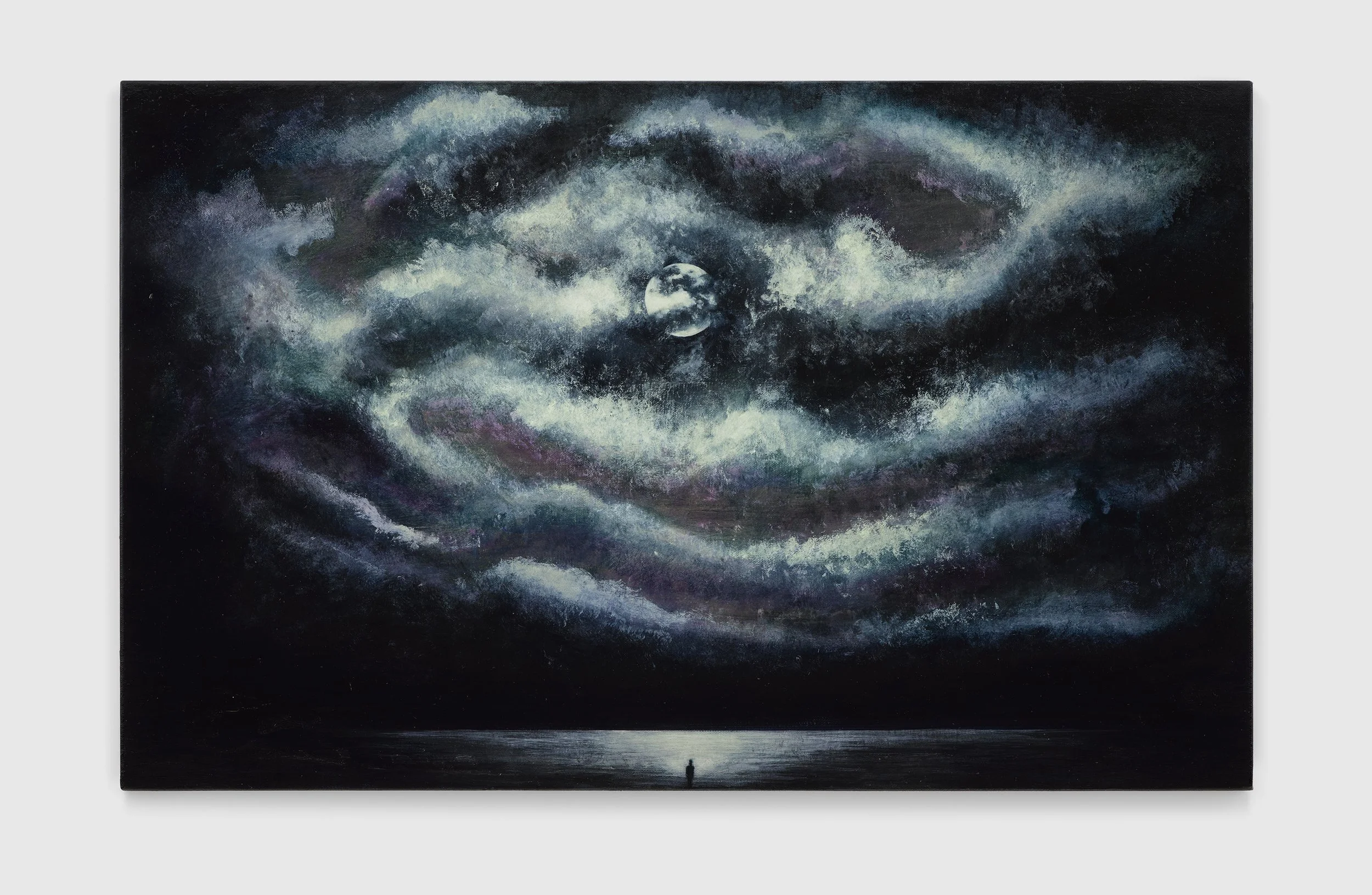 THE VIVID WORLD