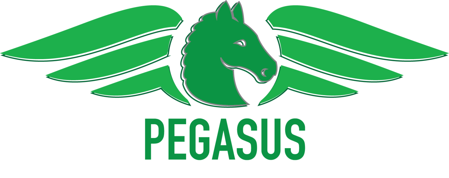 Pegasus