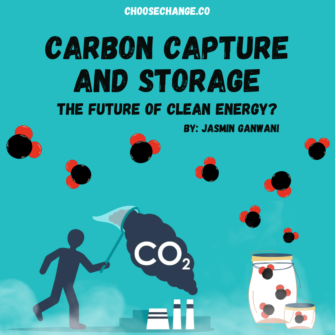 Carbon Capture and Storage: The Future of Clean Energy?