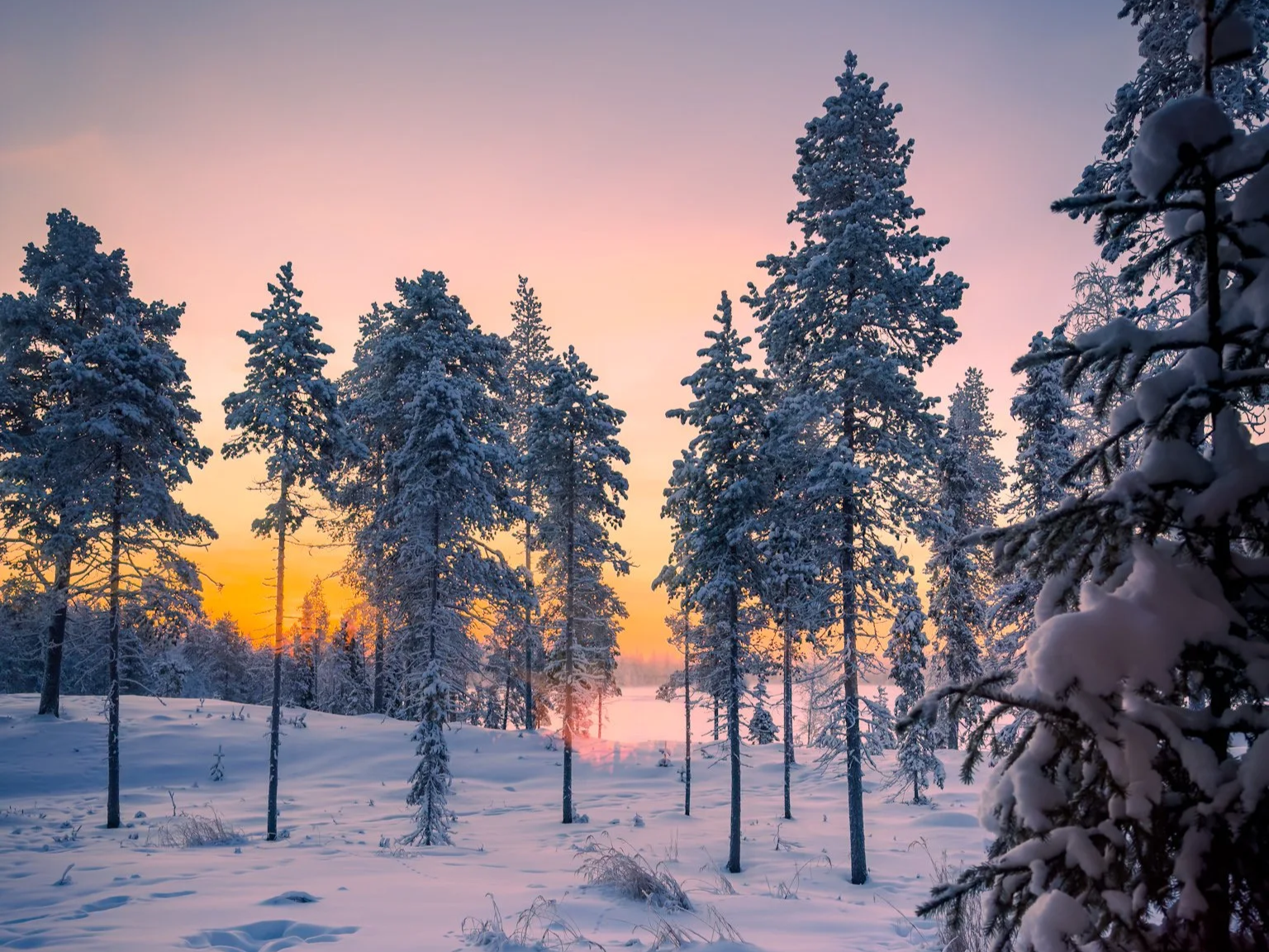 Ruka-Kuusamo: Winter in Pastelltönen