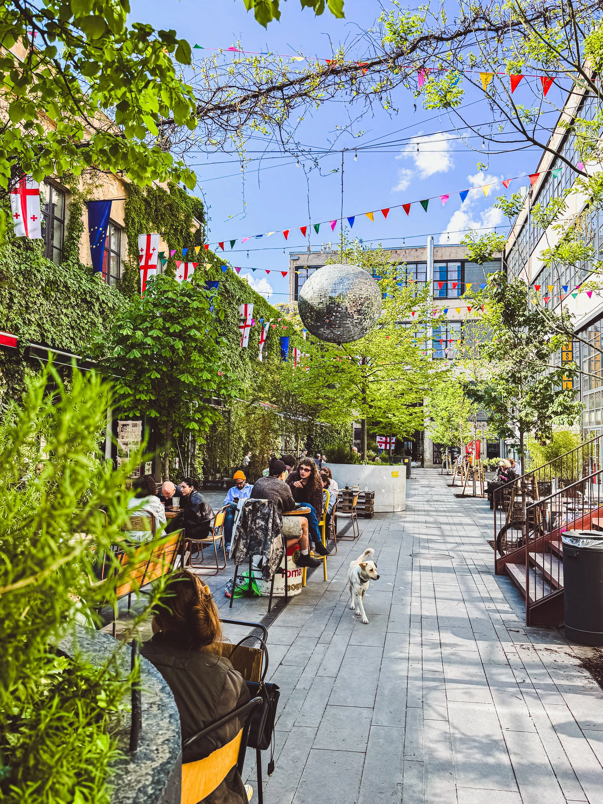 Kreativ, kantig, kämpferisch