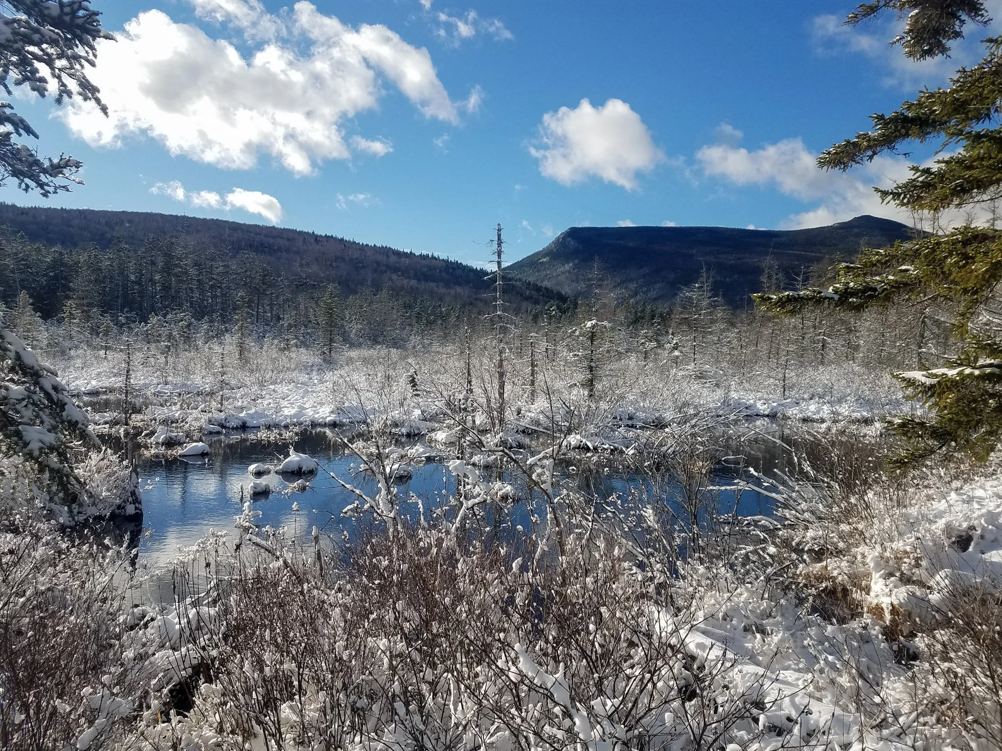 Winter morning.