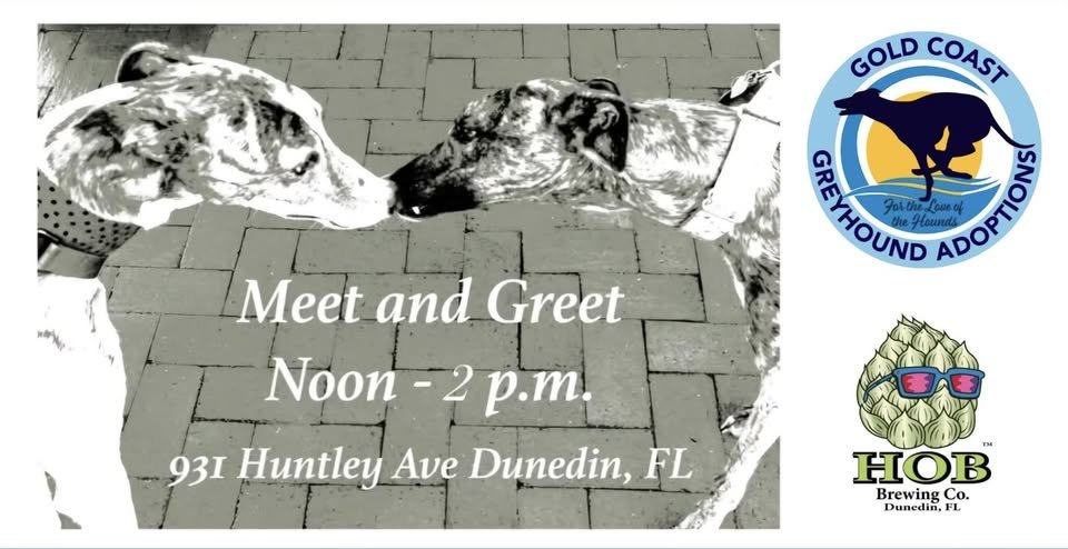 Greyhound Meet & Greet