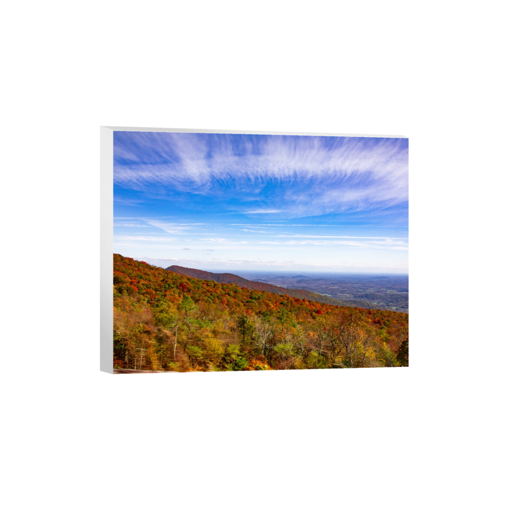 canvas_rectangle4_5_528_0_5286_4229_0_false_ffffff_0_0.png