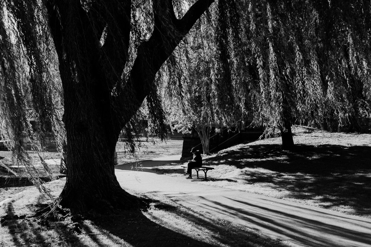 L1000066-posLEICA M10Summicron-M 1-2-35 ASPH Large.jpeg