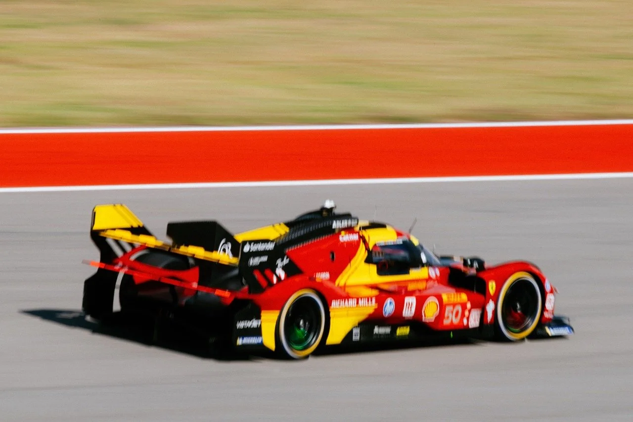 DSC_1199-posNIKON D850200.0-500.0 mm f-5.6 Large.jpeg