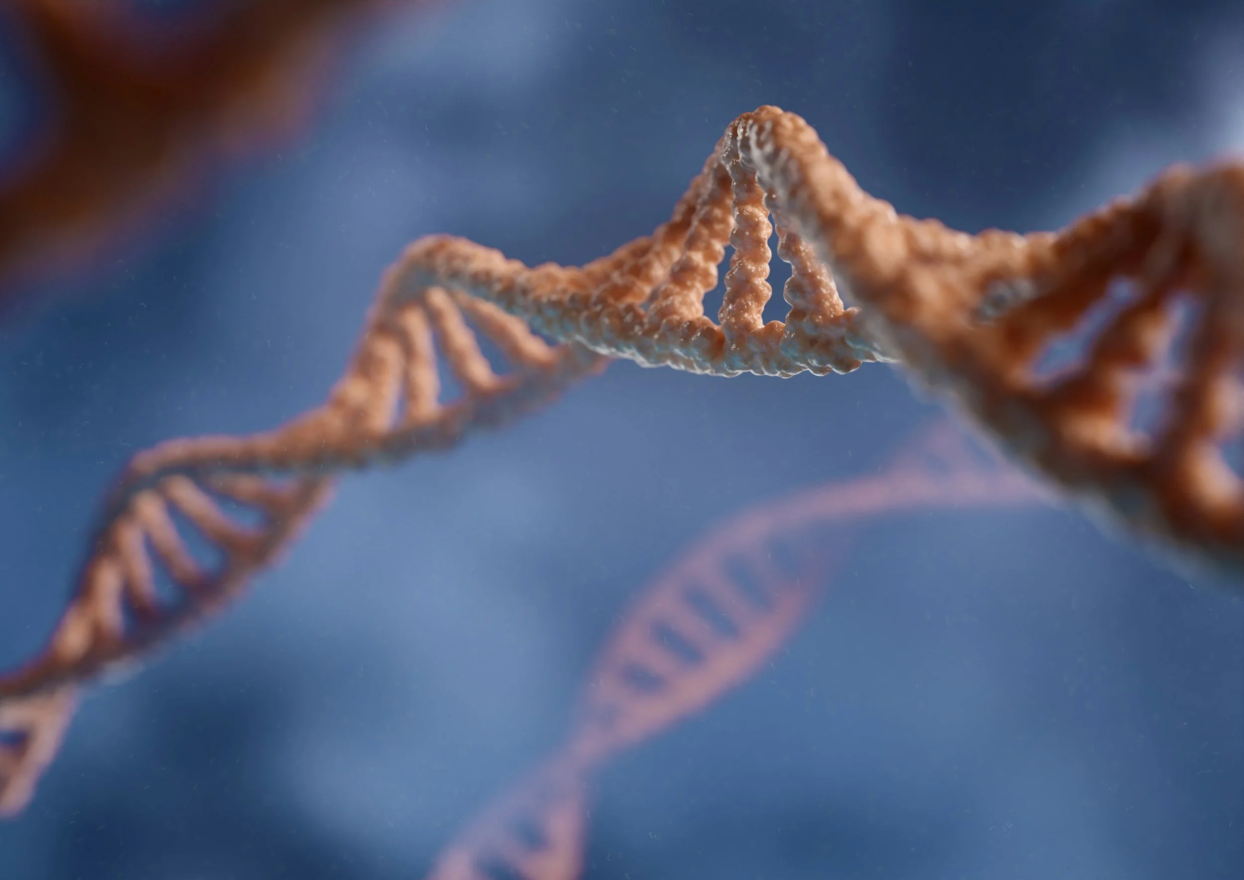 Unlocking the Protein Synthesis Game: DNA → RNA → Protein