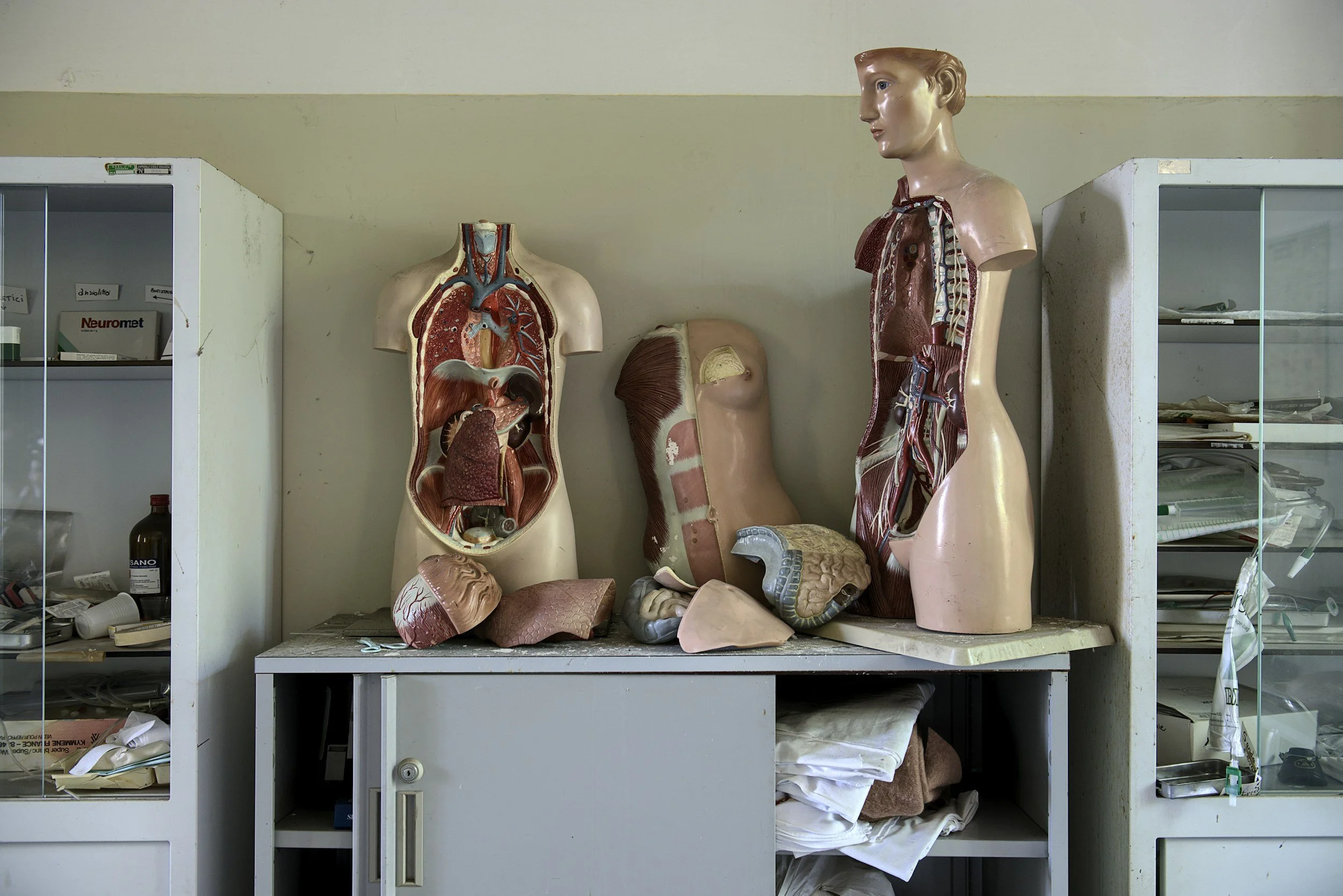 Human Body System Review Games