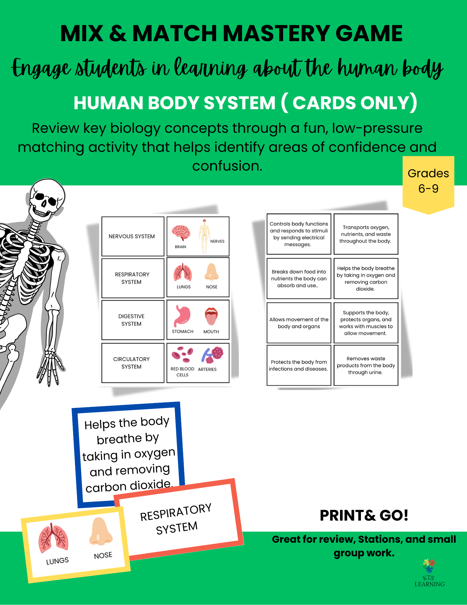 HBS CARDS ONLY .png