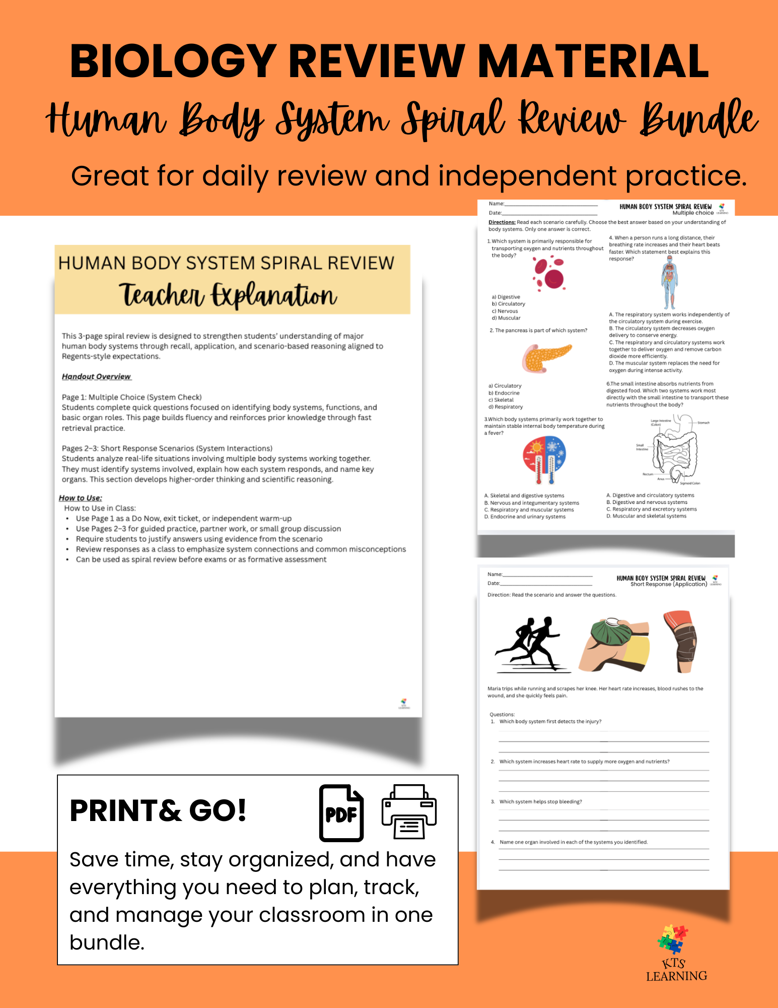 body system cover .png