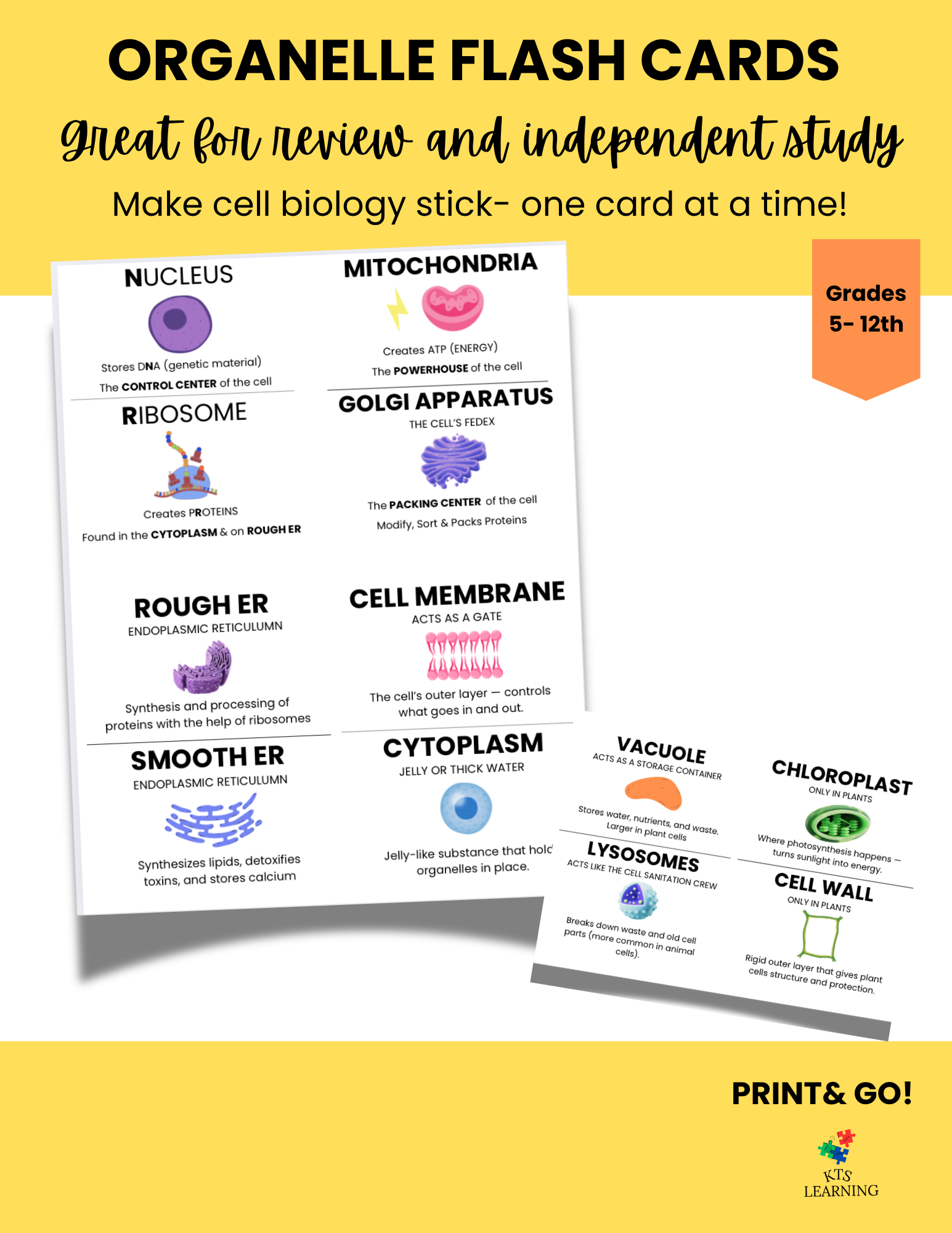 ORGANELLE COVER .png