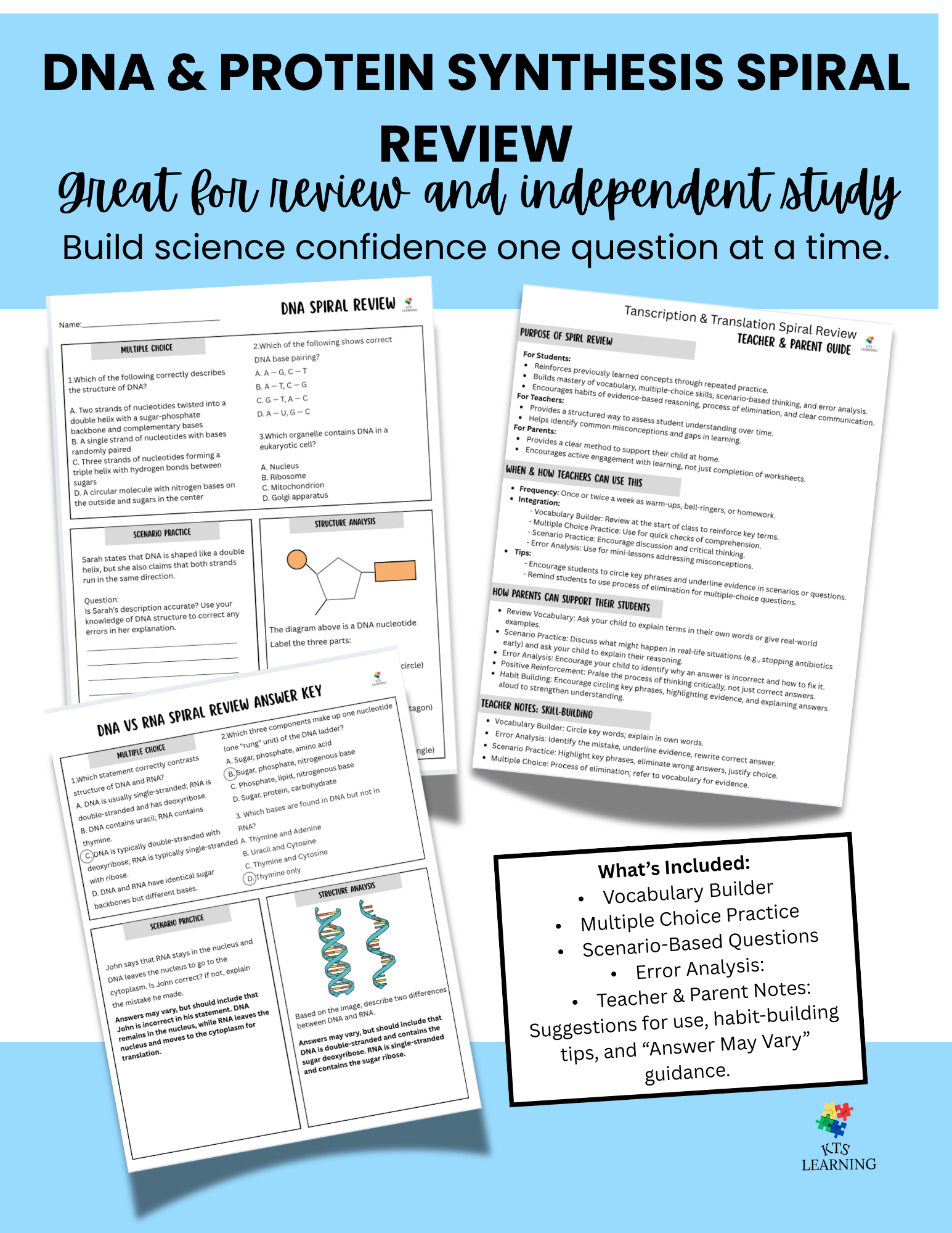 Ultimate DNA & Protein Synthesis Spiral Review – Perfect Biology Test Prep!