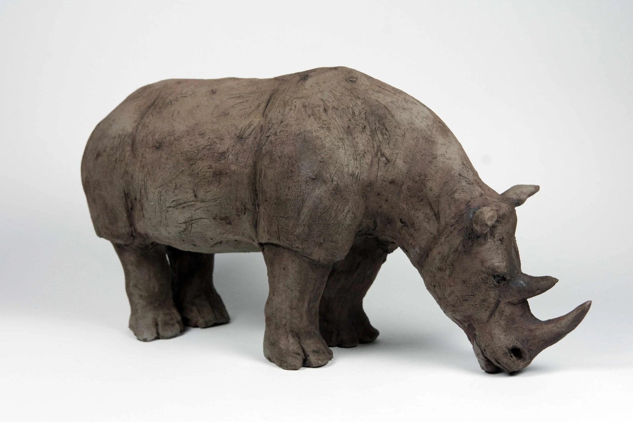 Nashorn stehendI.jpg