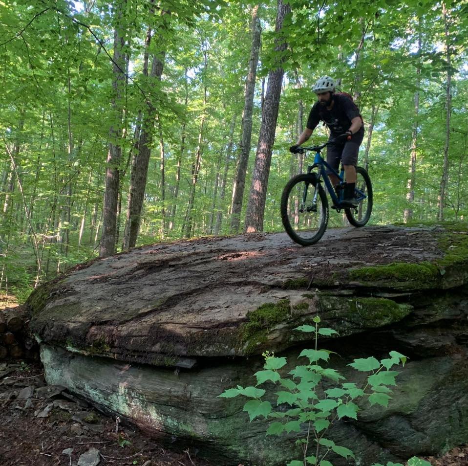 A person riding a mountain bike on a large fallen tree trunk in a lush green forest, wearing a white helmet and black clothing.