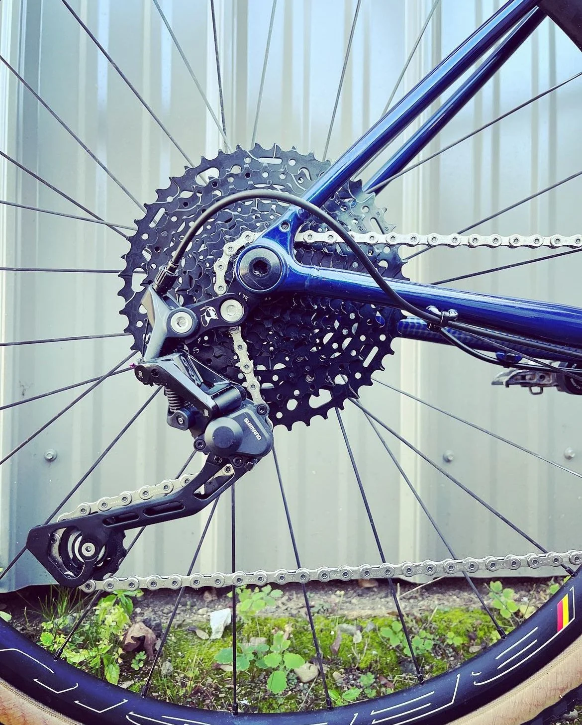 Close-up of a mountain bike's rear gear and derailleur, with the gear cassette visible, set against a gray metal background and some grass.