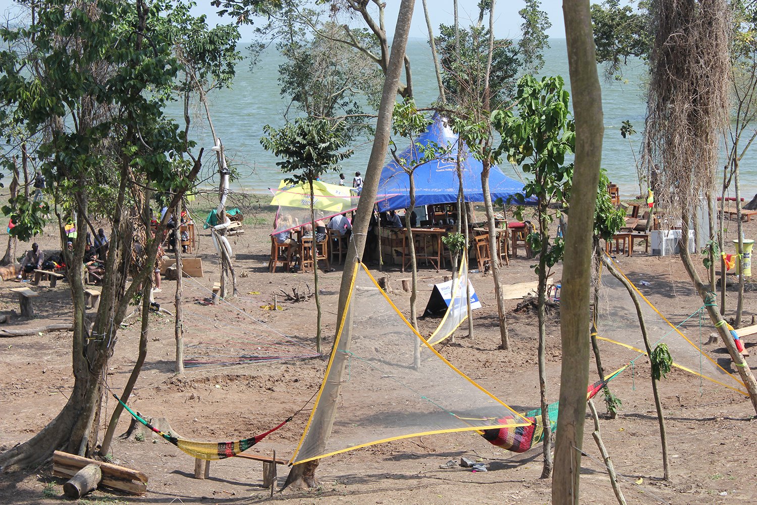 Mesh Screens Beach 1 XX.JPG
