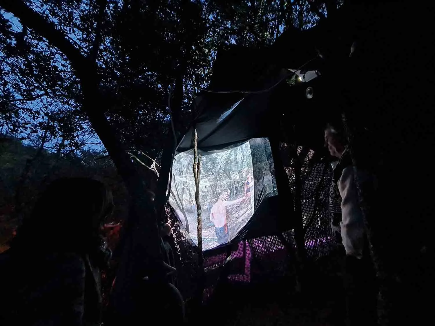 Cette installation reprenait les images des oeuvres installées sur le sentier artistique de Mourèze, proposant une projection au coeur du sentier.
