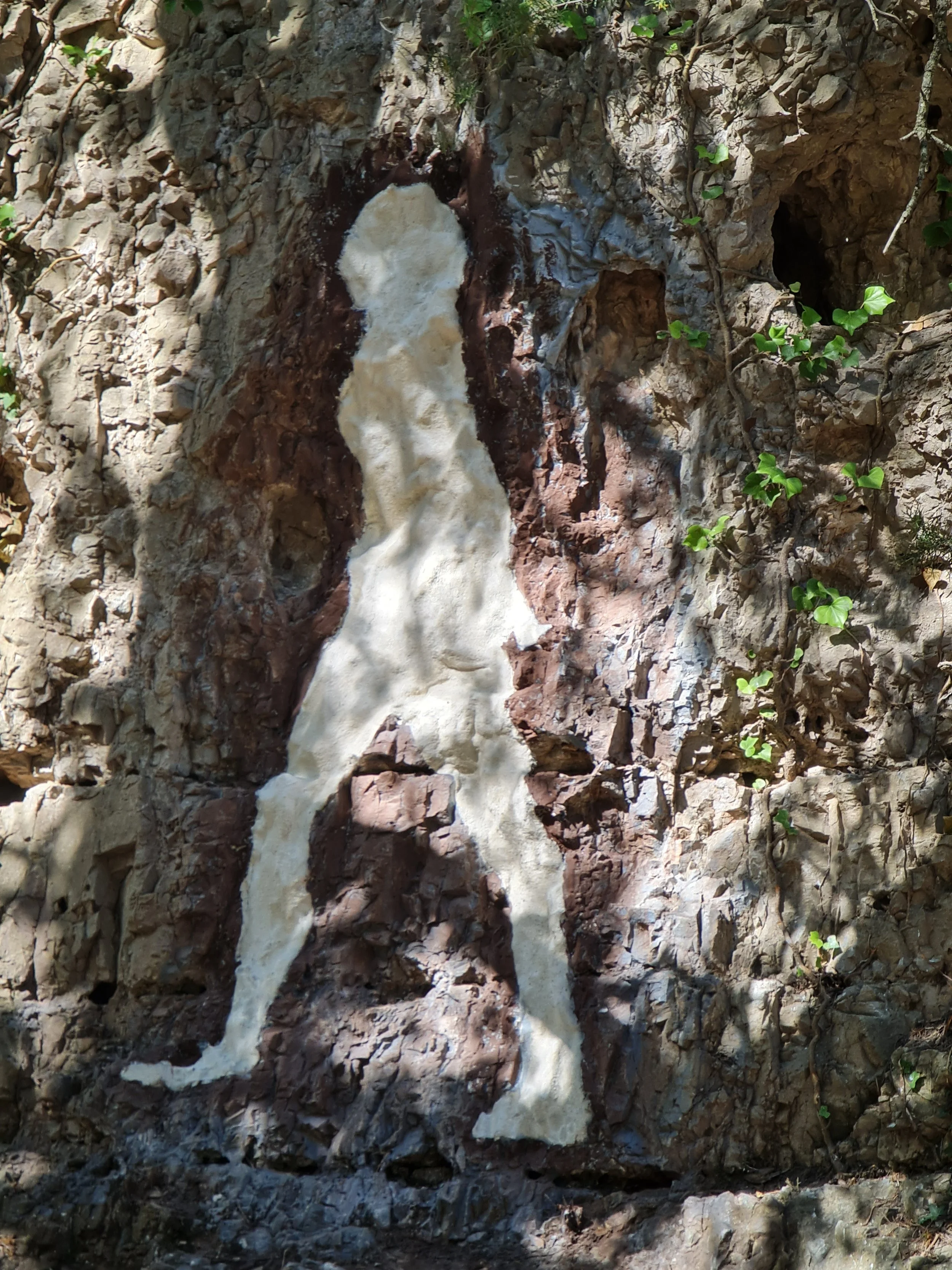 3 femme des bois parois 1.jpg