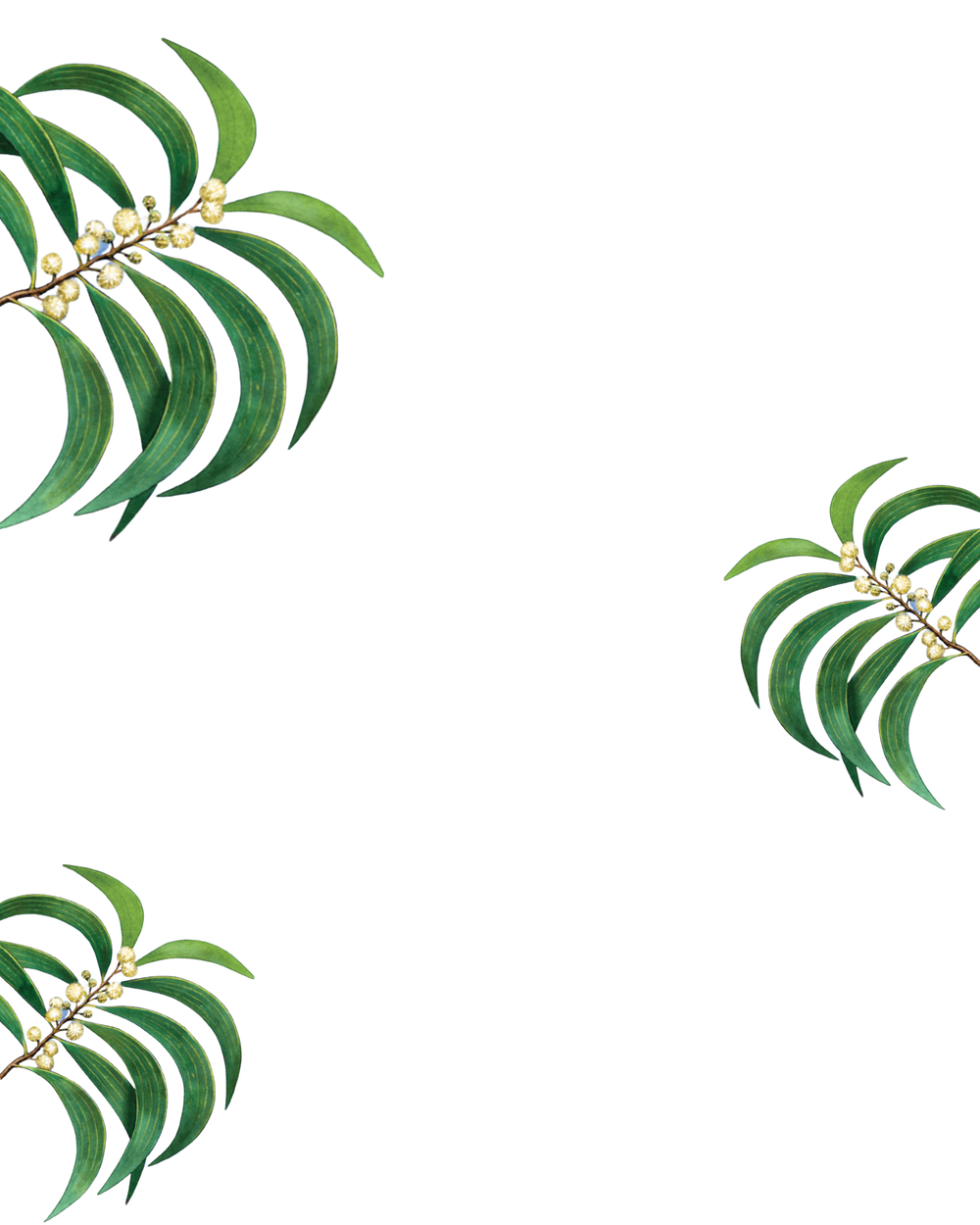 Ensembles — Pacific String Museum