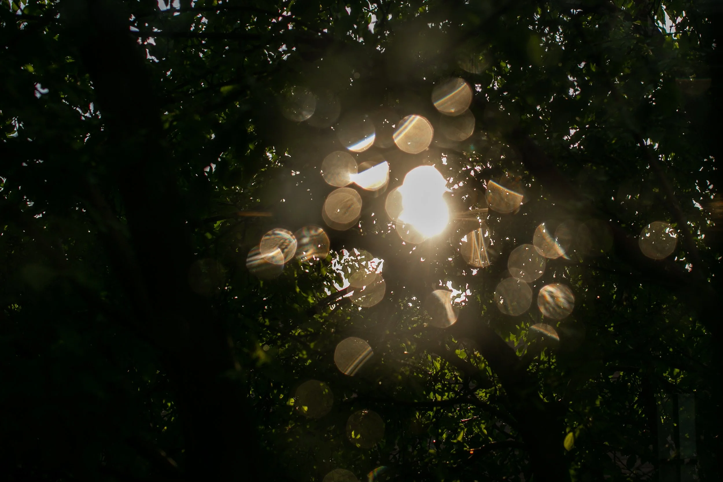 2021_9_rainyday-08.jpg