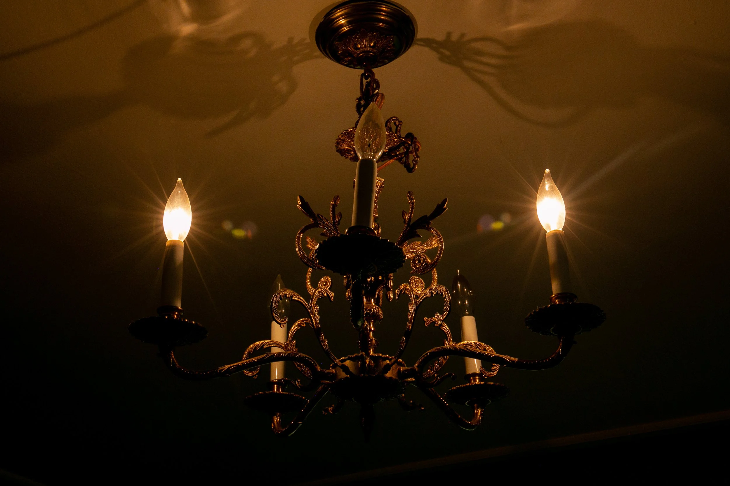 2021_homelight_flowers12.jpg