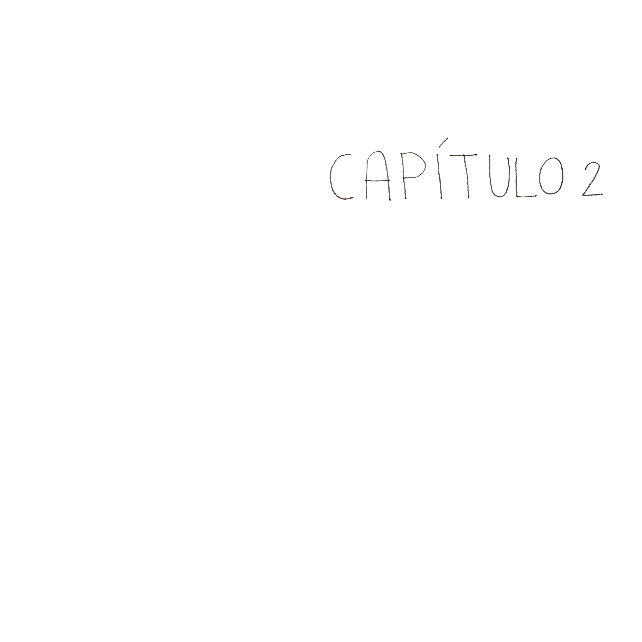CAPÍTULO 2