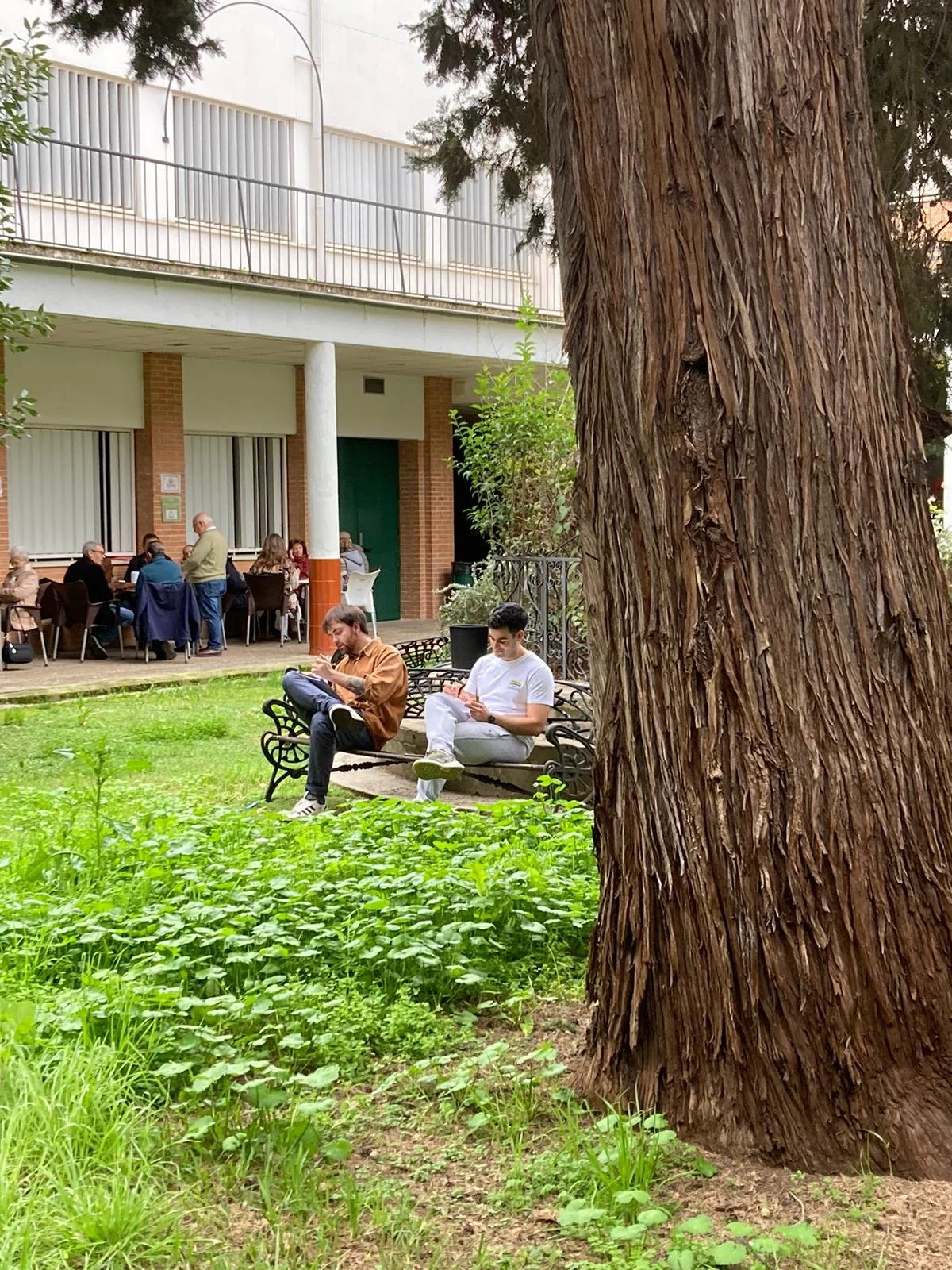 WhatsApp Image 2026-02-18 at 17.27.49 (1).jpeg