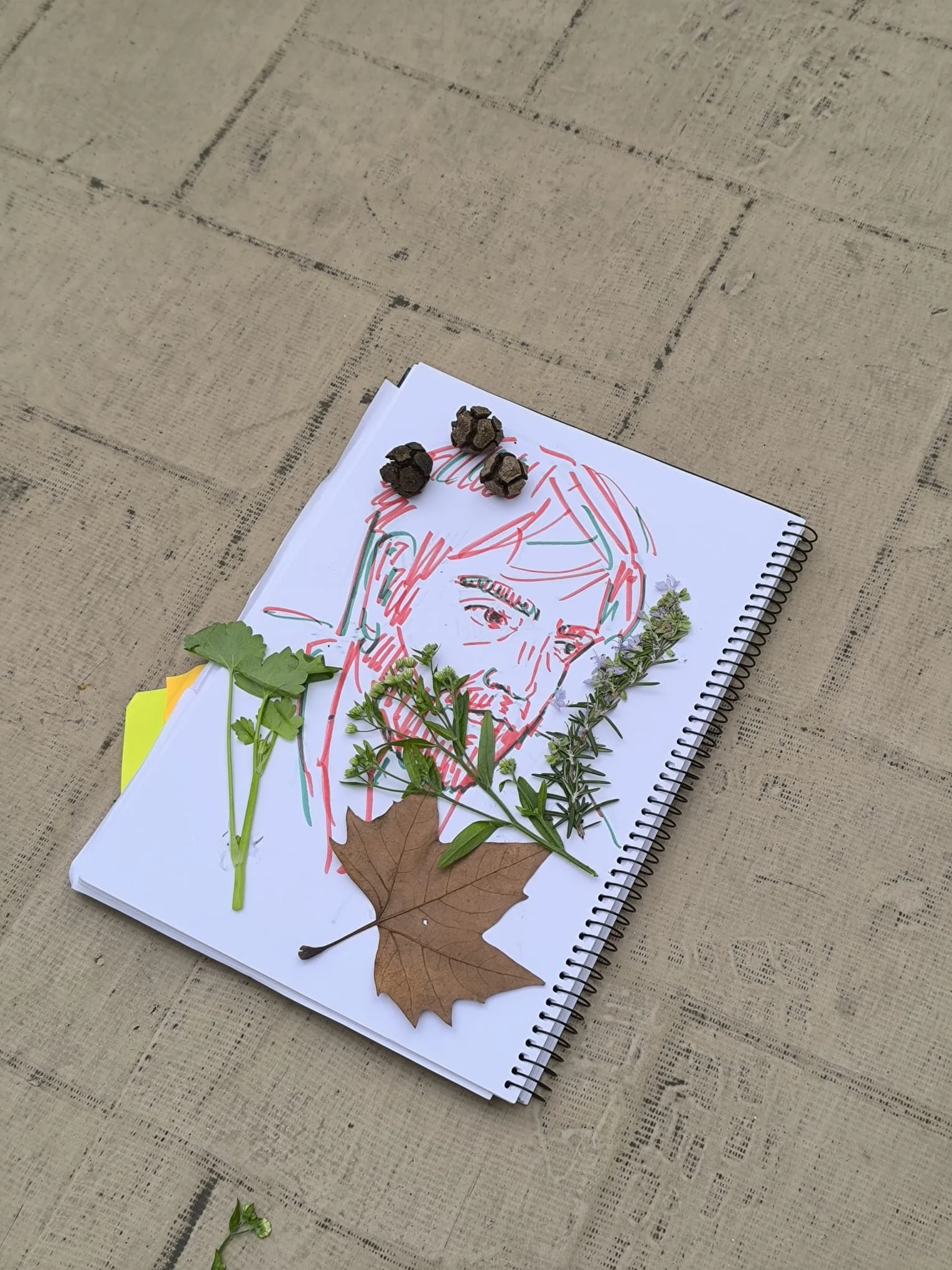 WhatsApp Image 2026-02-18 at 17.25.45.jpeg