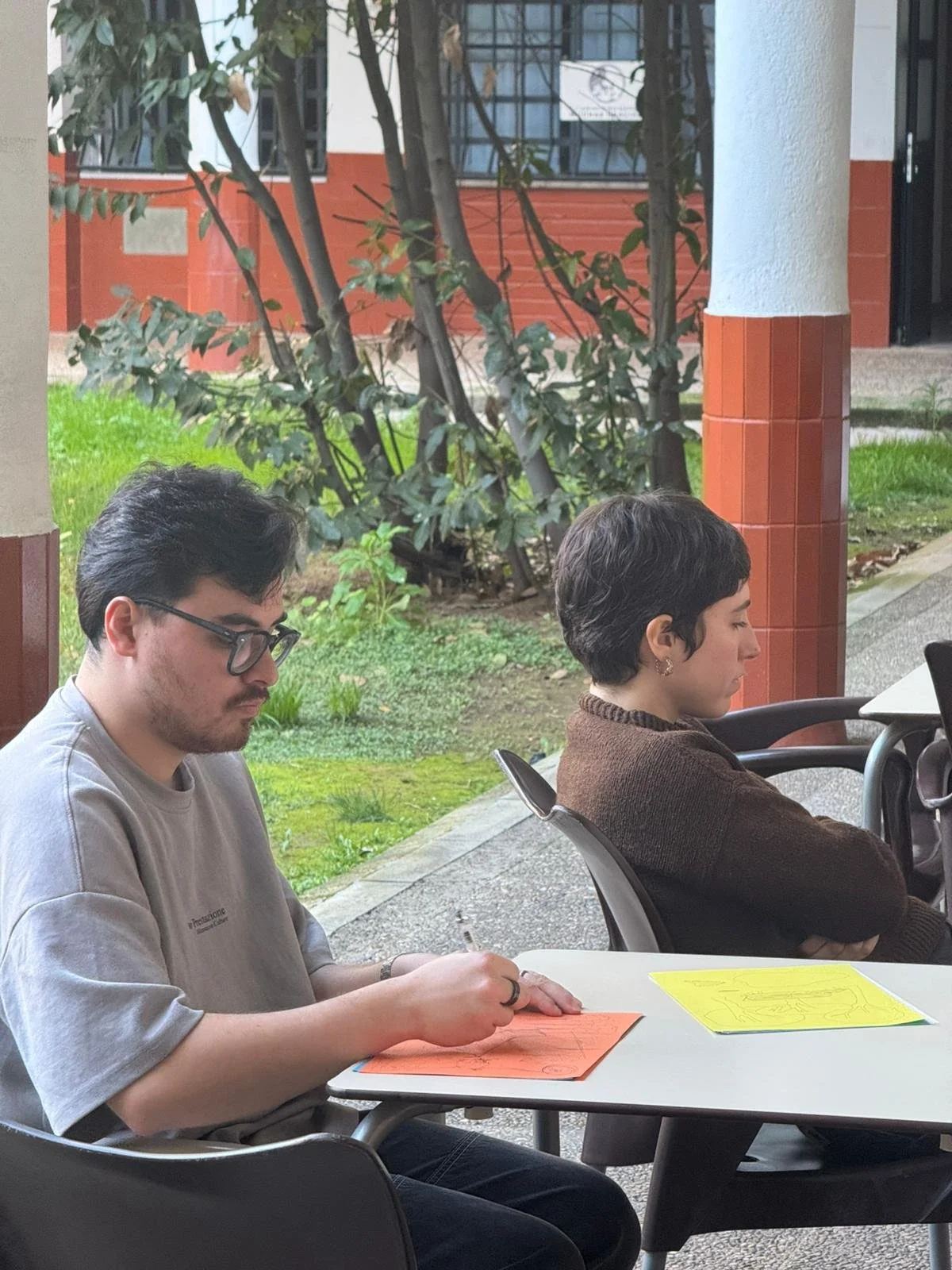 WhatsApp Image 2026-03-19 at 17.00.02 (1).jpeg