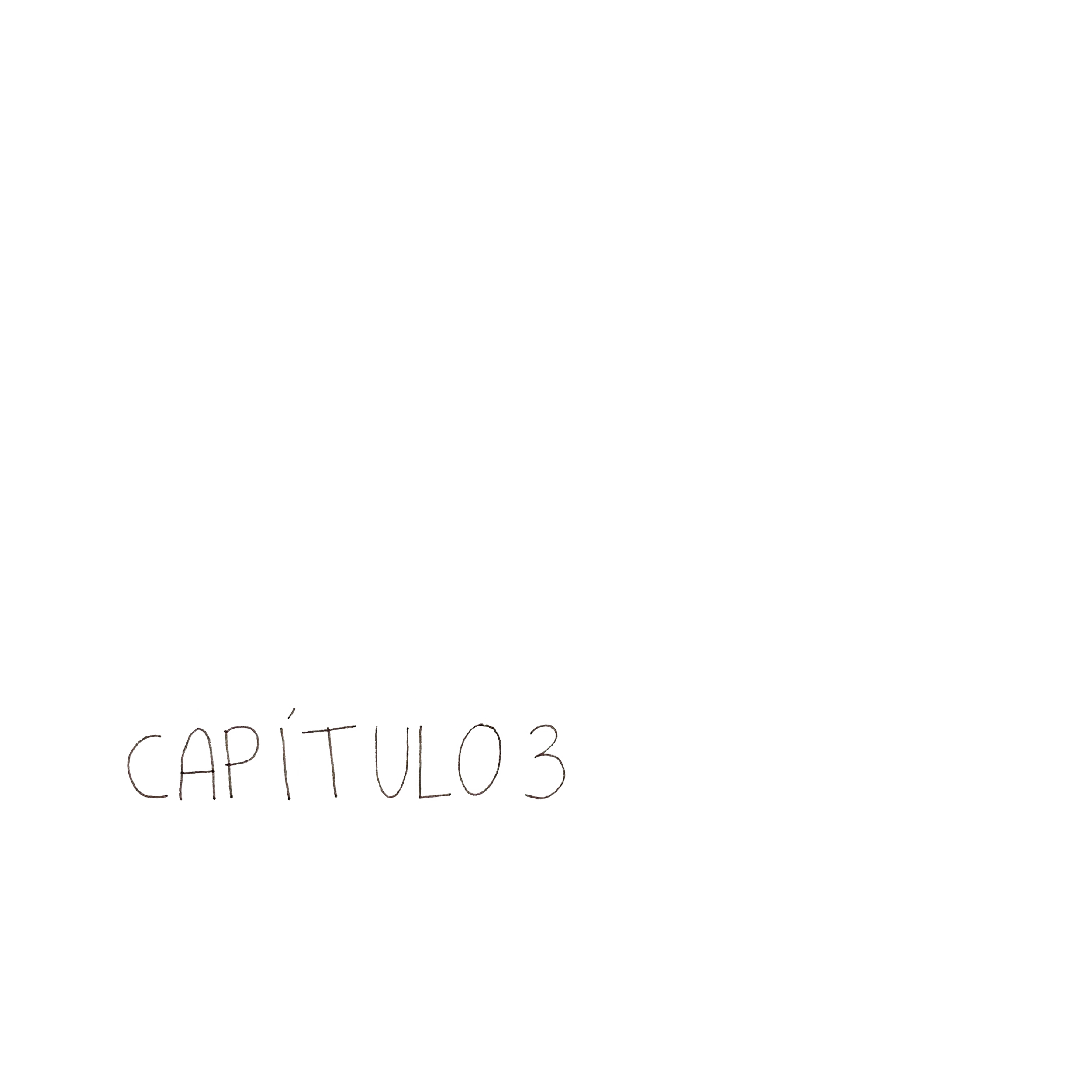 CAPÍTULO 3