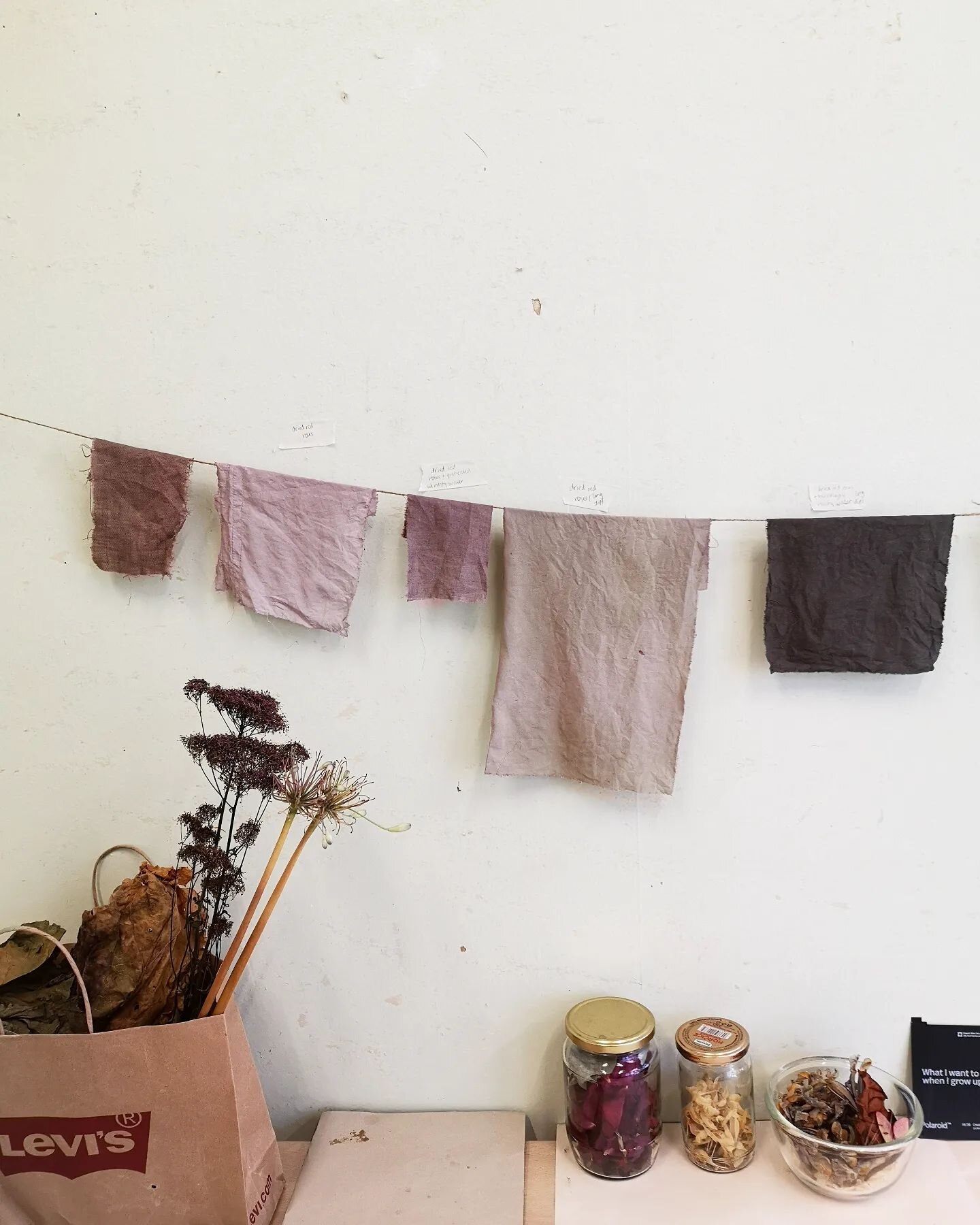 #ESAClimateResidency

Harmony of tones of dried roses.

Being able to get stuck in the studio has been a true gift! 🥰
Finding these tones along another heatwave was a sweaty process, but worth it! That made the awareness and lived experiences of #cl
