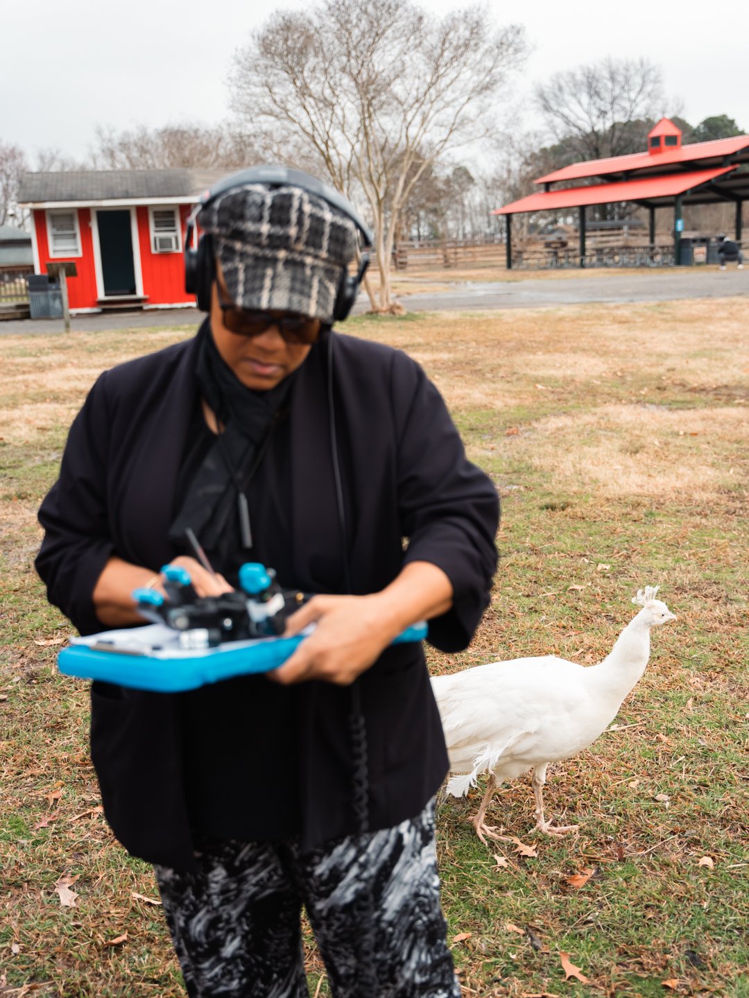 Petting Zoo Photos_-299.jpg