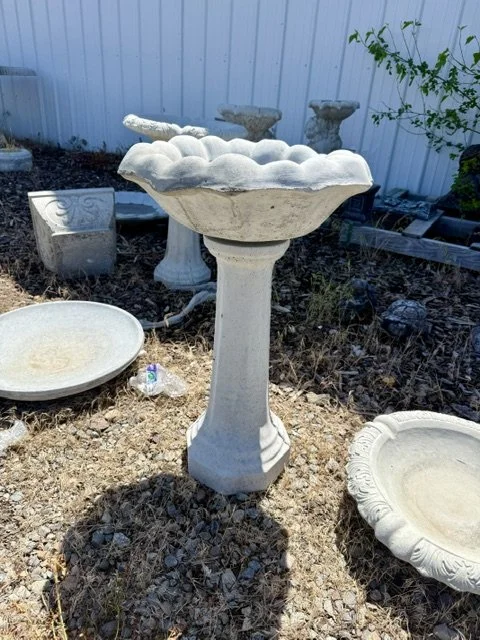 image0 (5).jpeg