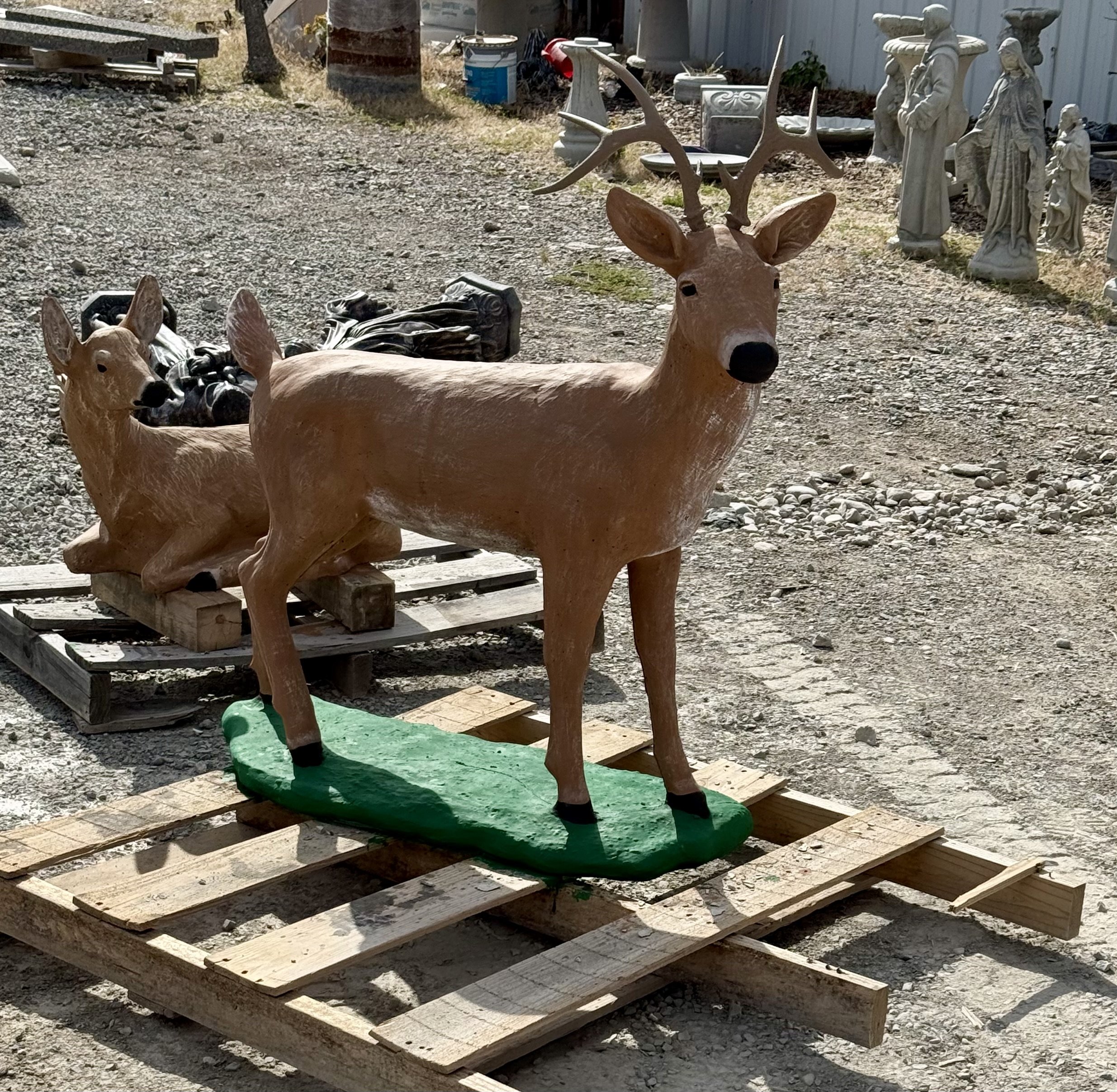 Standing Deer