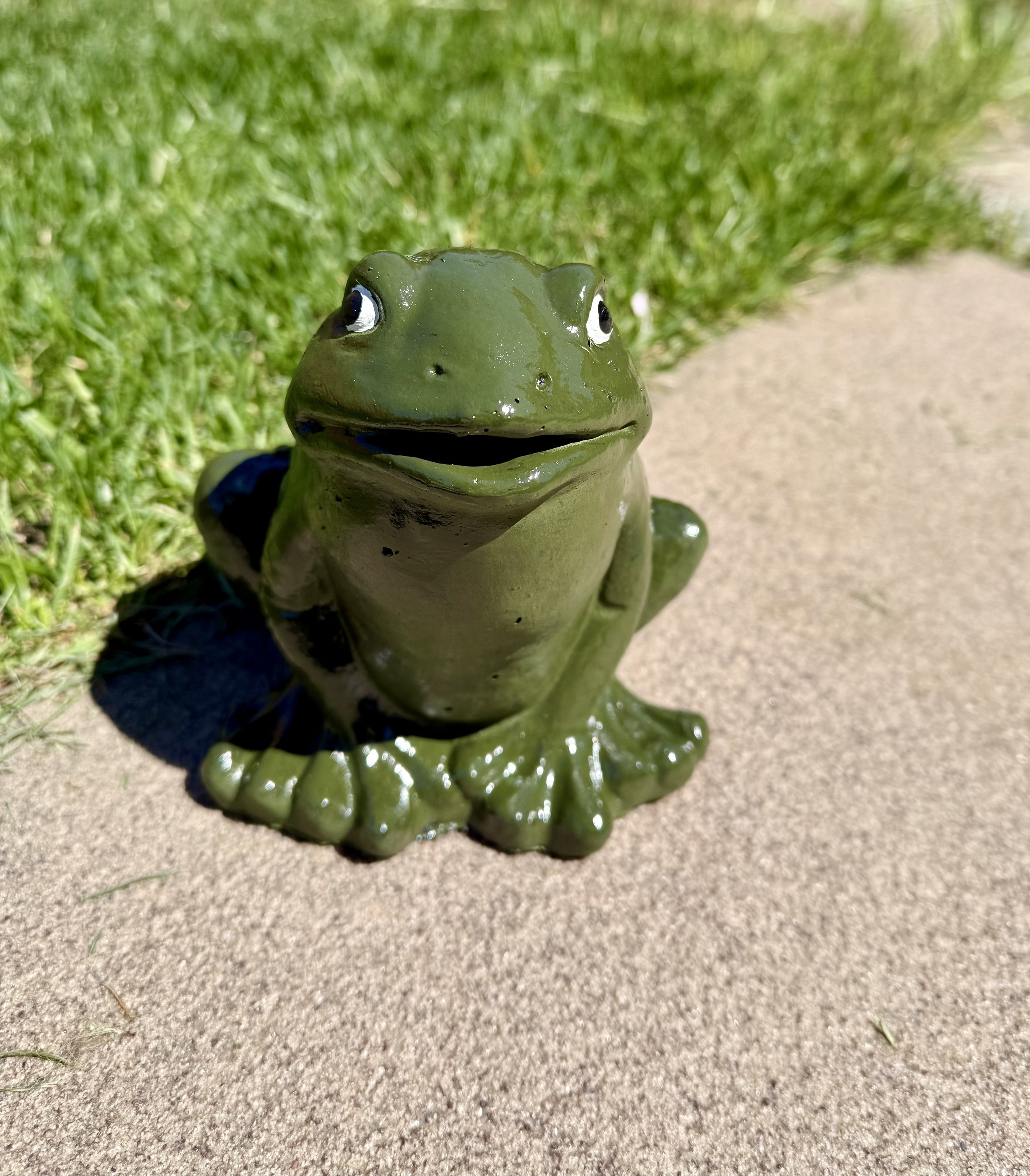 Sitting Upright Frog