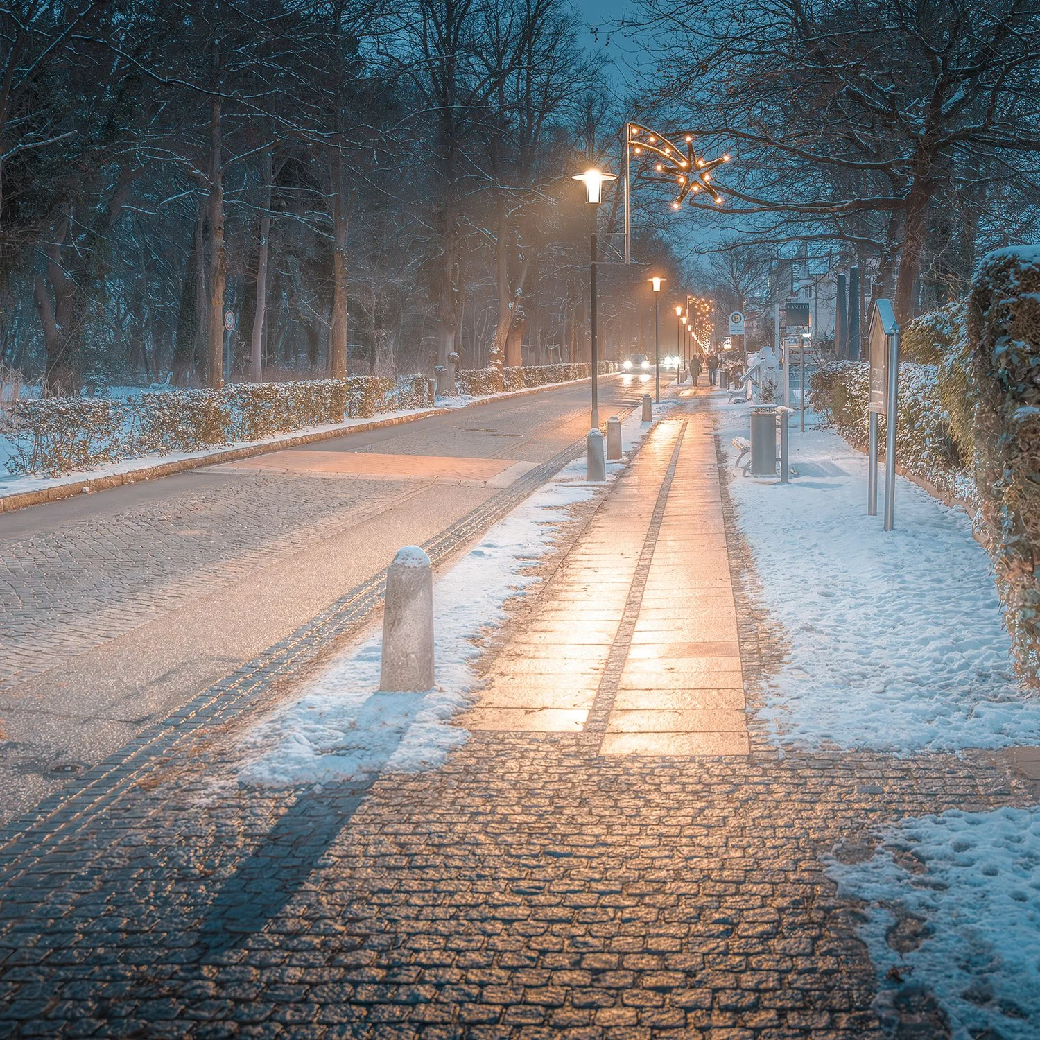Golden scheint der Weg im Nebel • Kühlungsborn