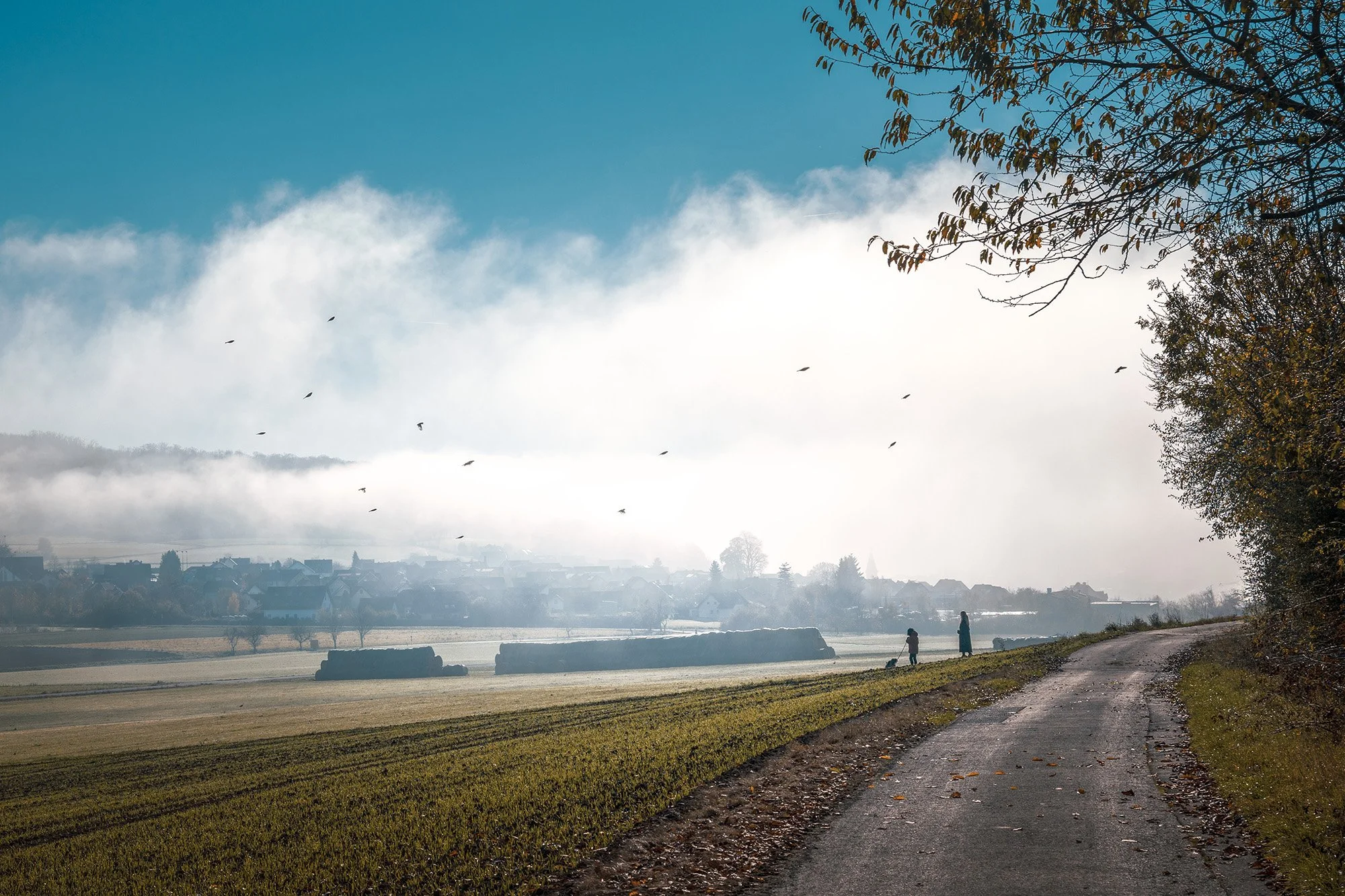 Hessen_Rhön_Hofbieber_Nebelspaziergang_BOLLMANN-BF_web.jpg