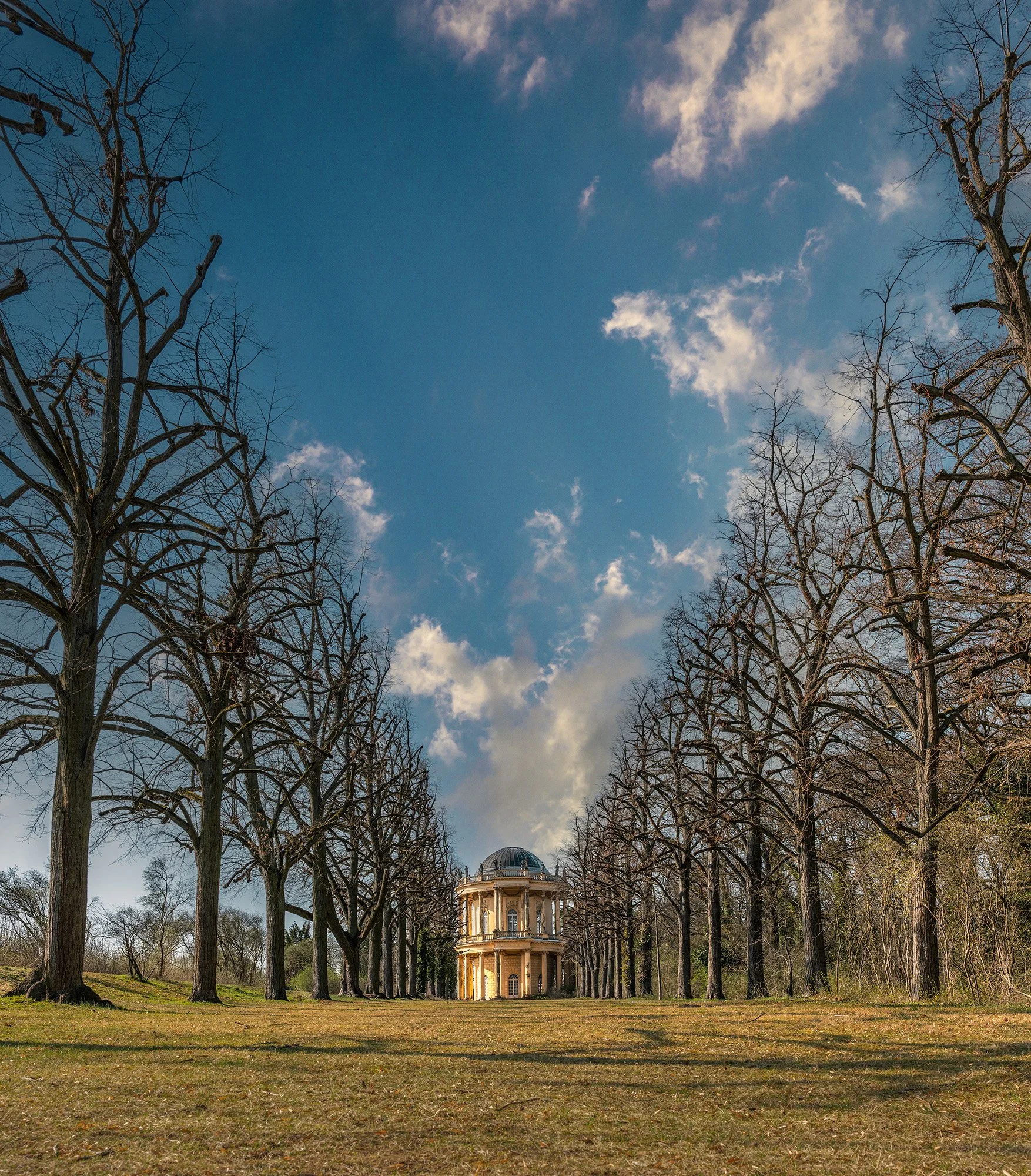 Brandenburg_Potsdam_Bellevue_Klausberg3_03_2026_BOLLMANN-BF_web.jpg