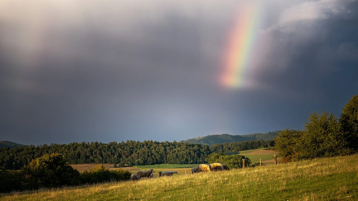 Hessen_Rhön_Hofbieber_Regenbogen_BOLLMANN-BF_web.jpg