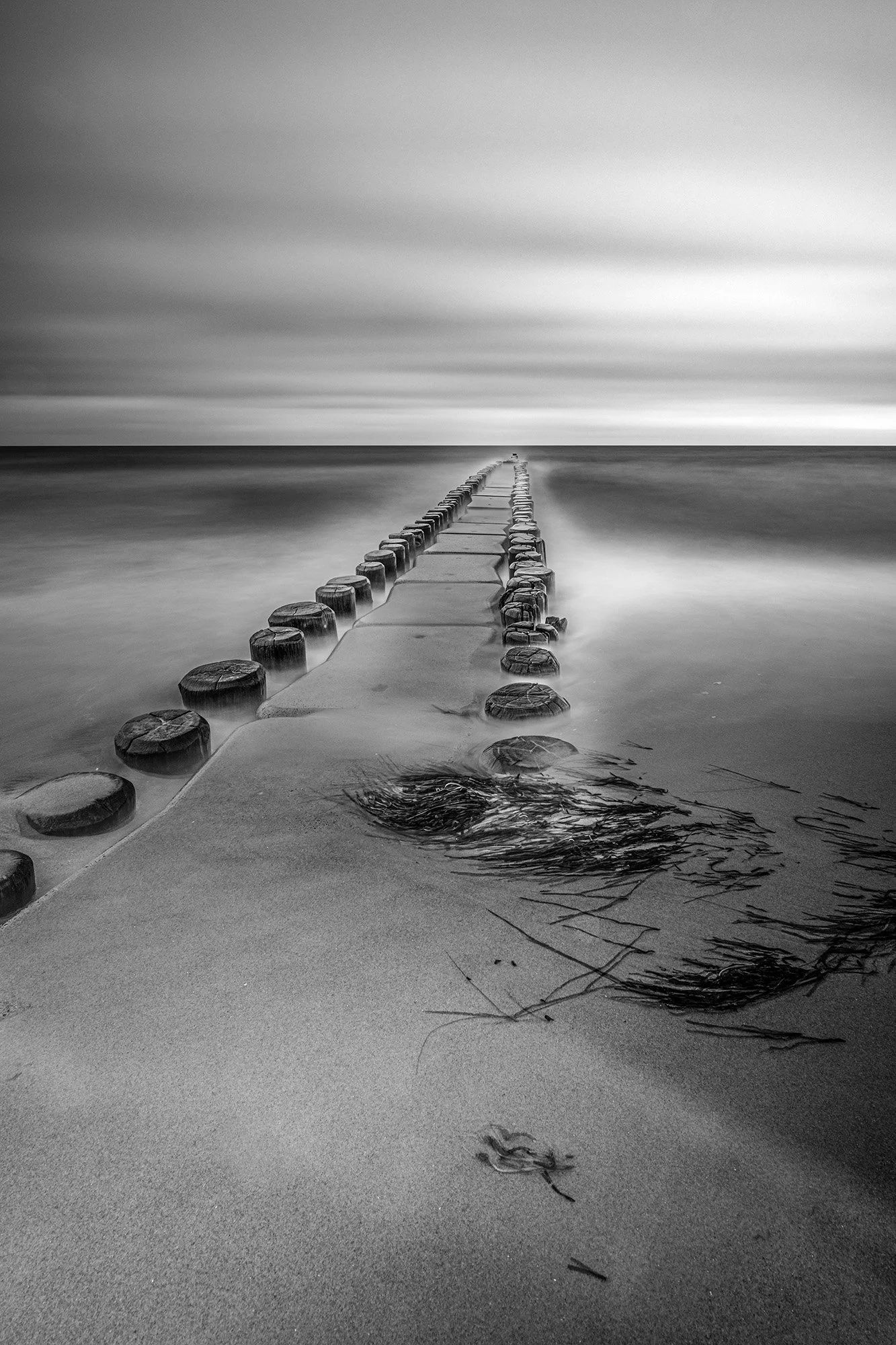 Ahrenshoop, 2021
