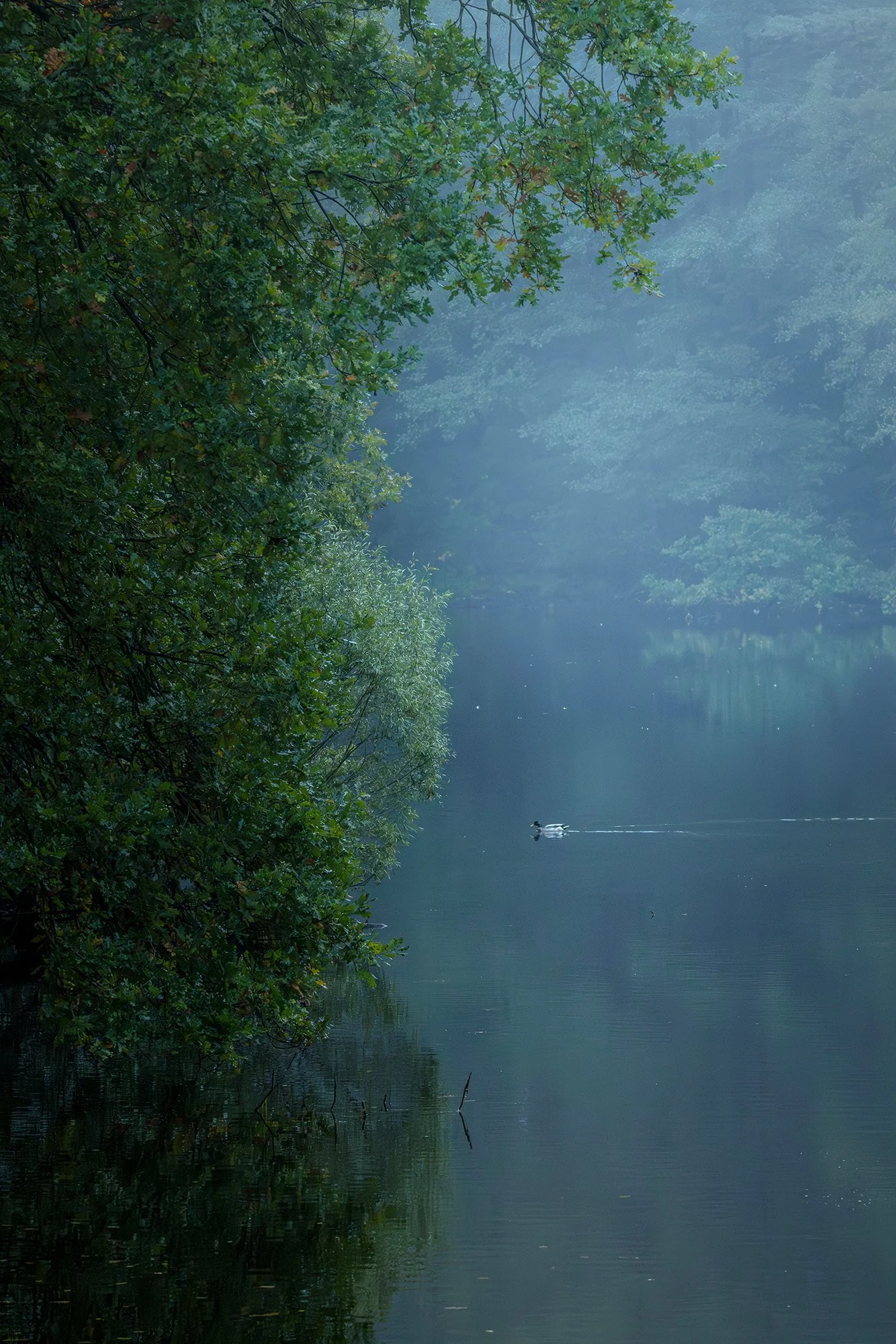 Hubertussee, 2023