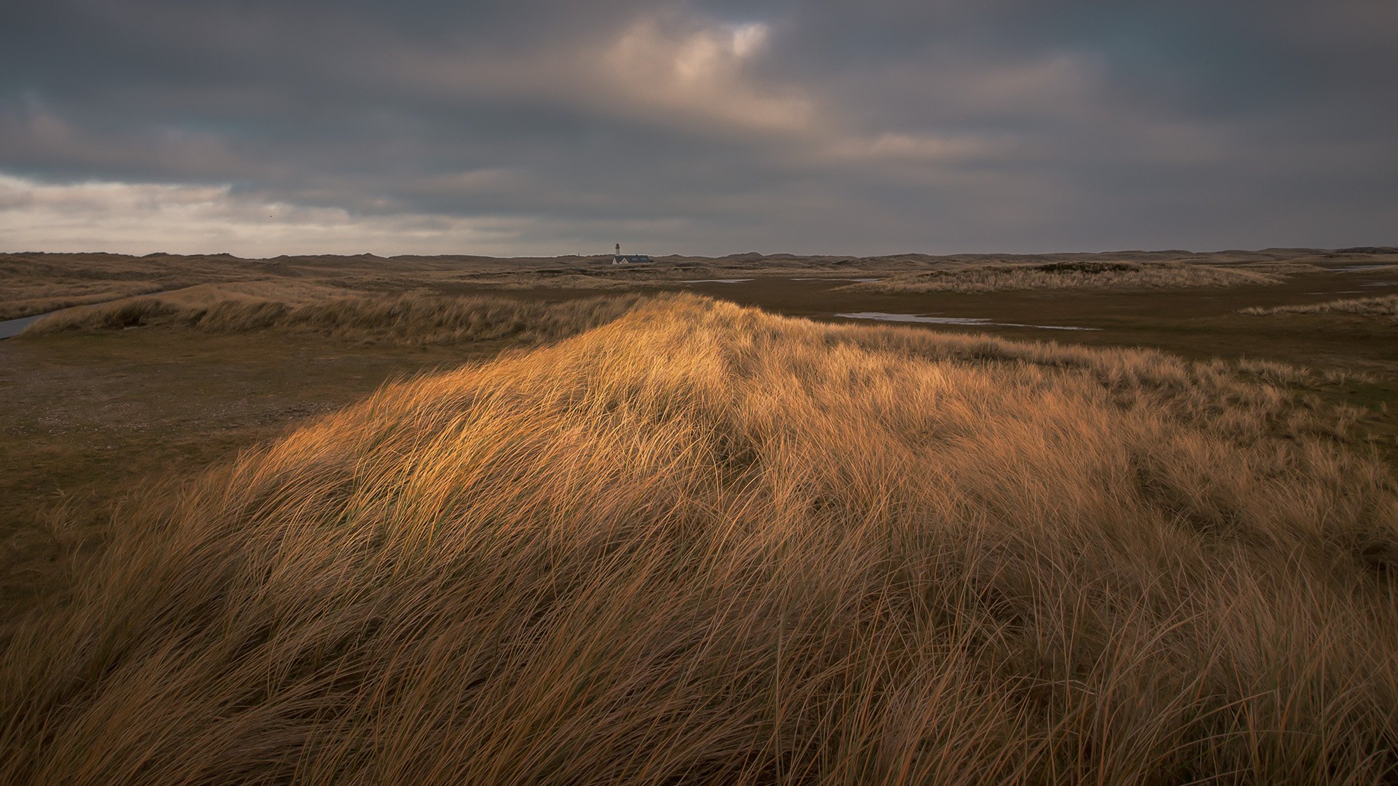 Insel Sylt, 2016
