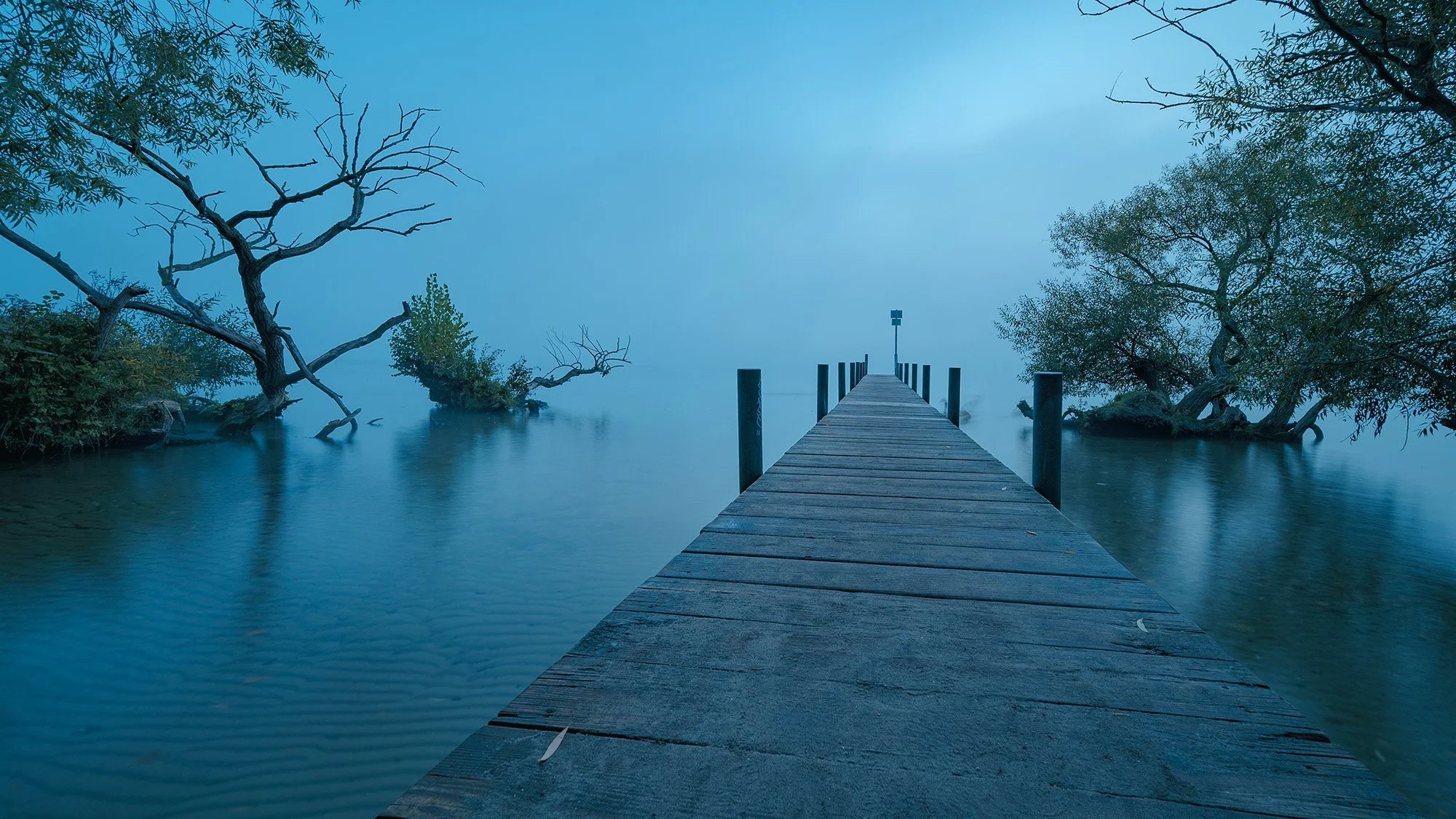 Wannsee, 2020