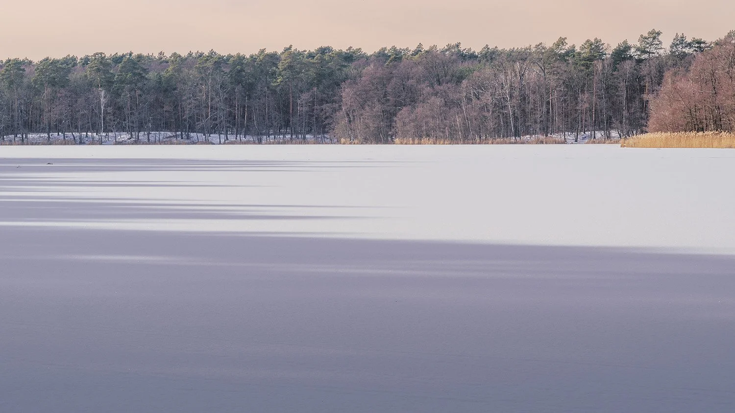 Mühlenbecker See • Winter 2025/26