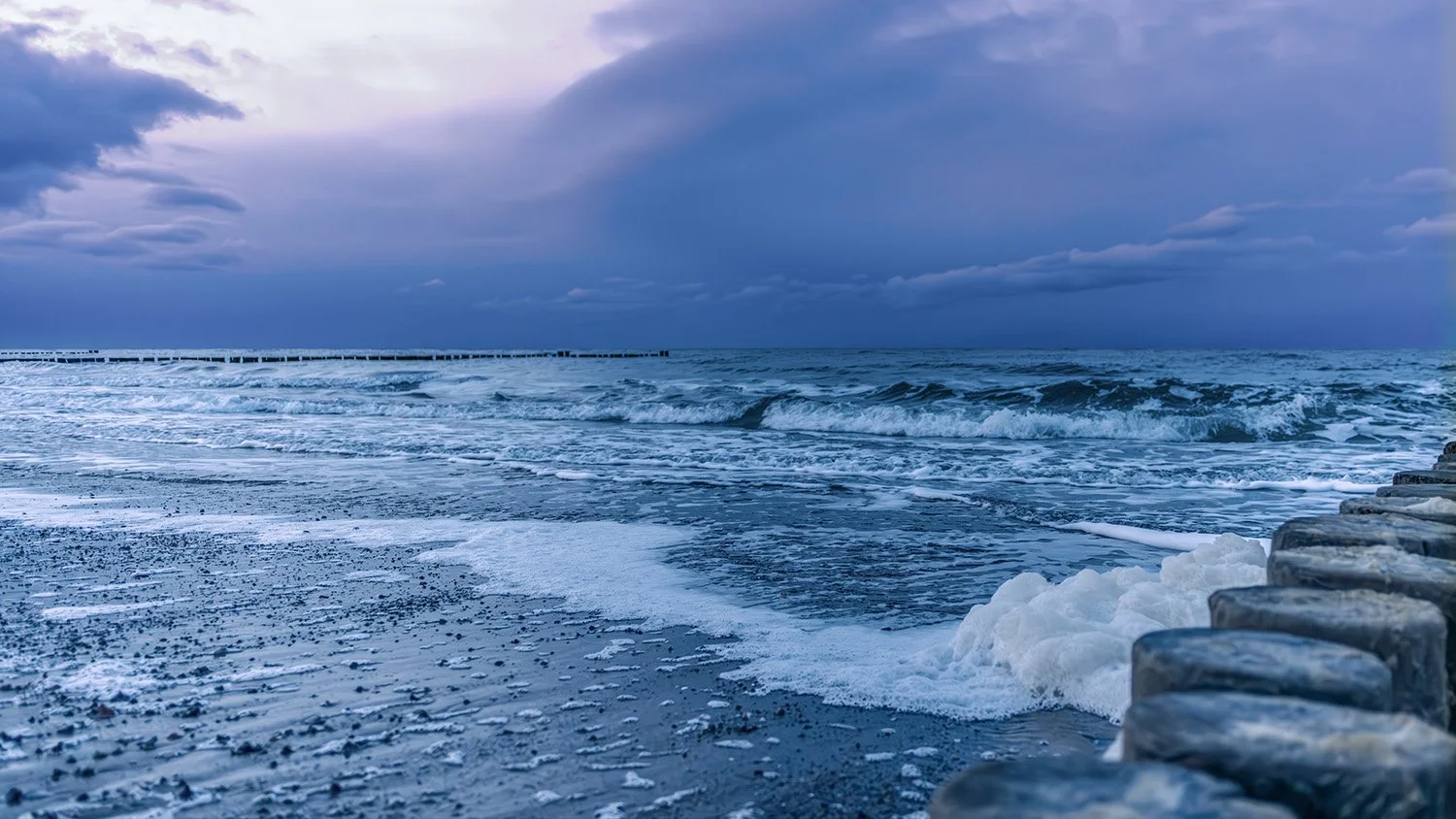 Die Farbe Lila - Ostseestrand