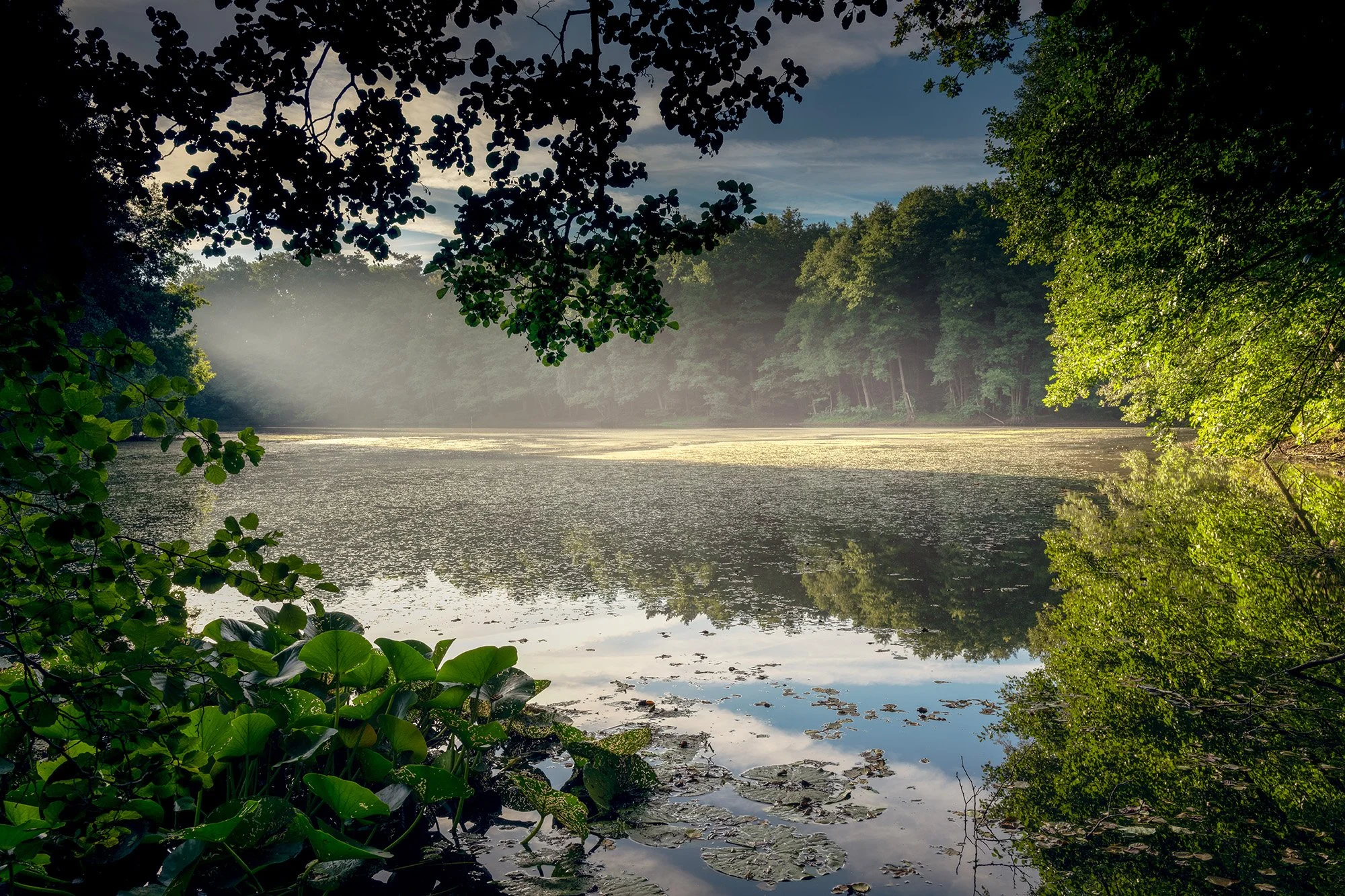 Hubertussee, 2023
